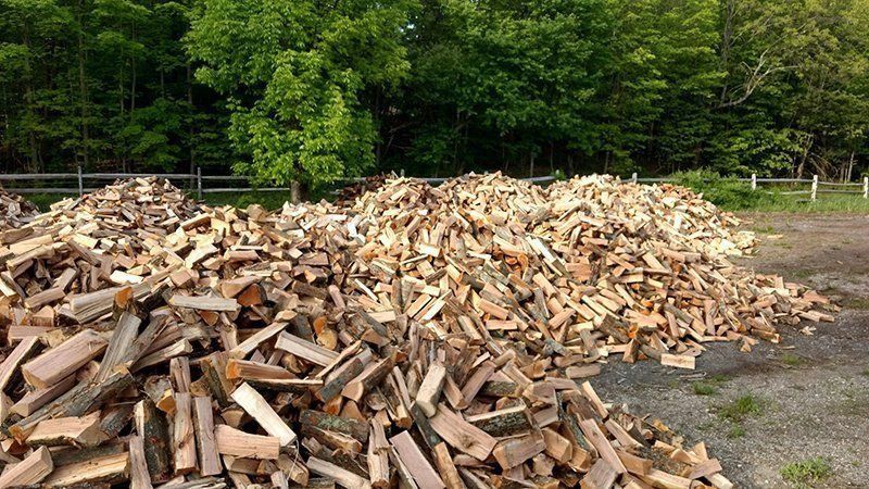 Piles of firewood in a clearing, with trees in the background.