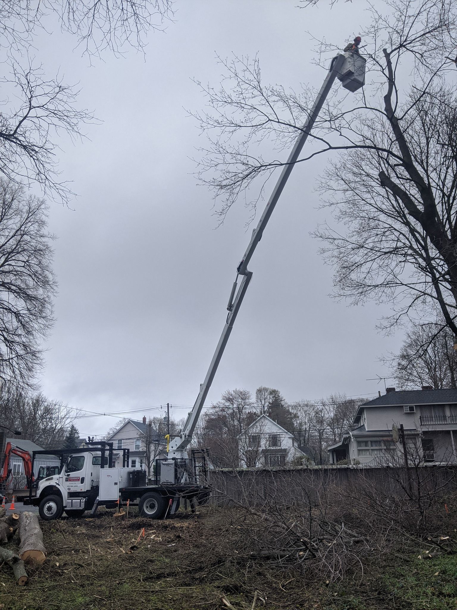 Bucket truck trimming tree branches on an overcast day; residential area in background.