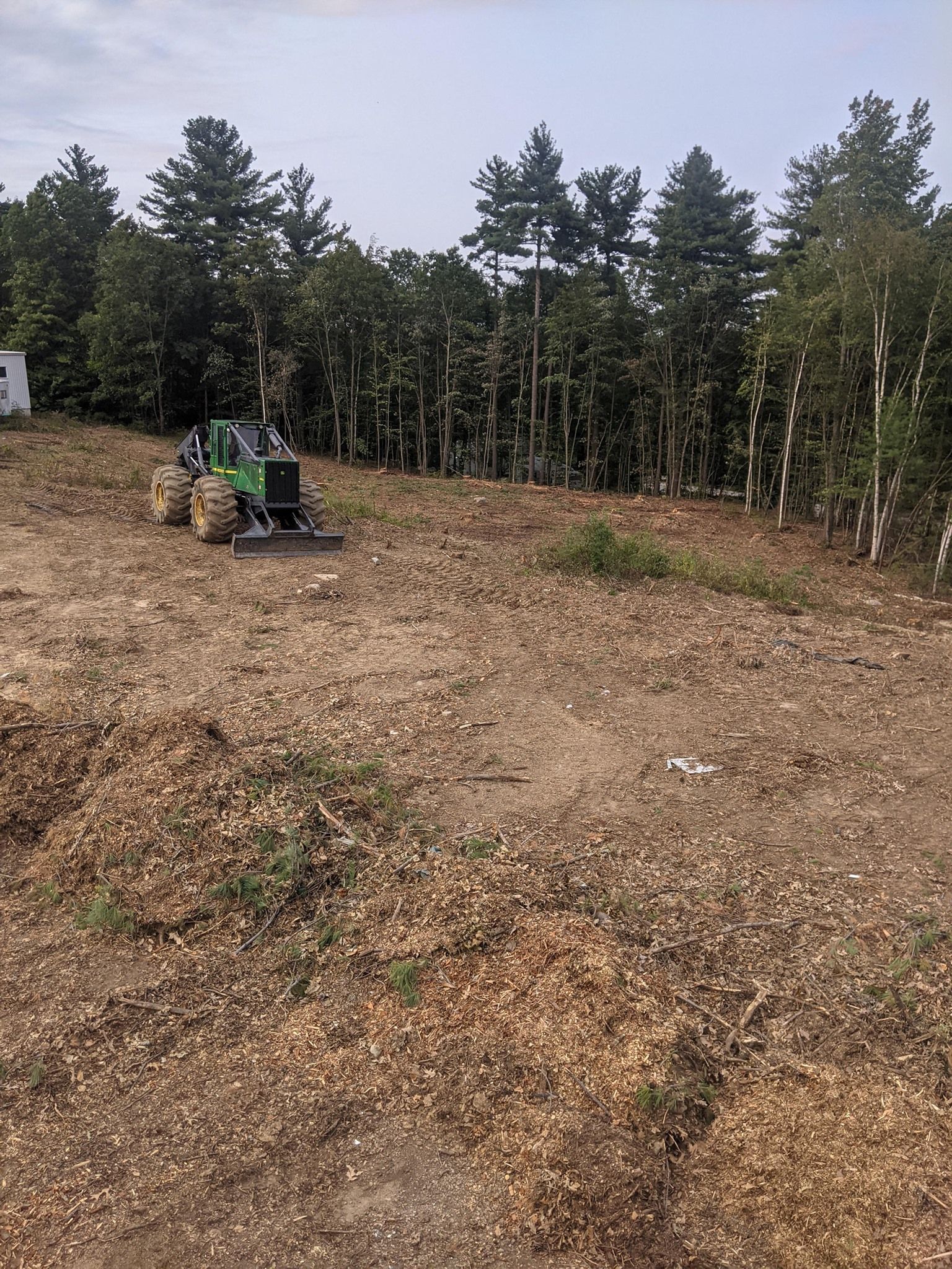 A green tractor clearing a wooded area. The ground is covered in wood chips, with trees in the background.