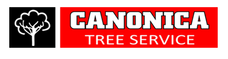 Canonica Tree Service-Logo