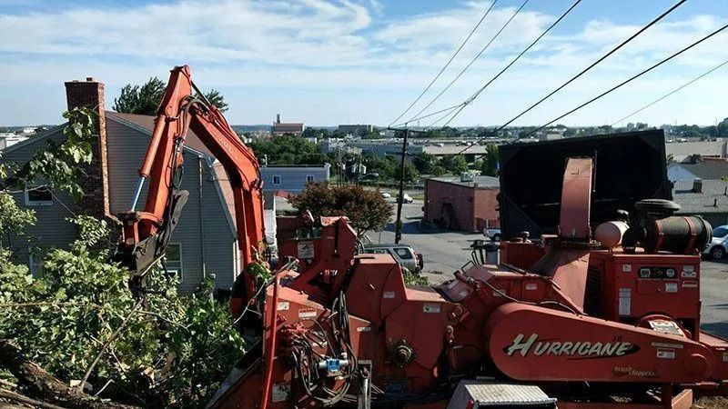 Orange excavator feeding branches into a Hurricane wood chipper, near power lines and buildings.