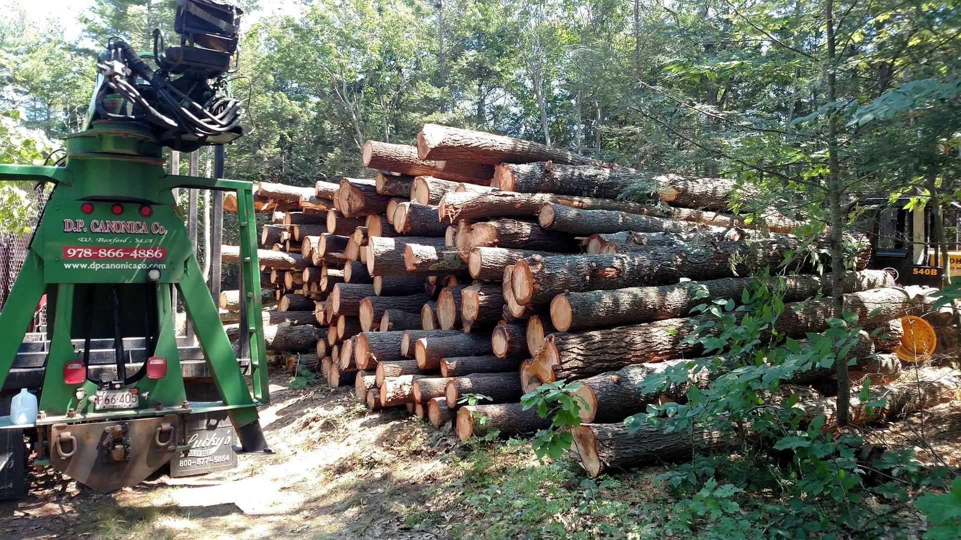 Pile of logs next to a green forestry machine in a wooded area.