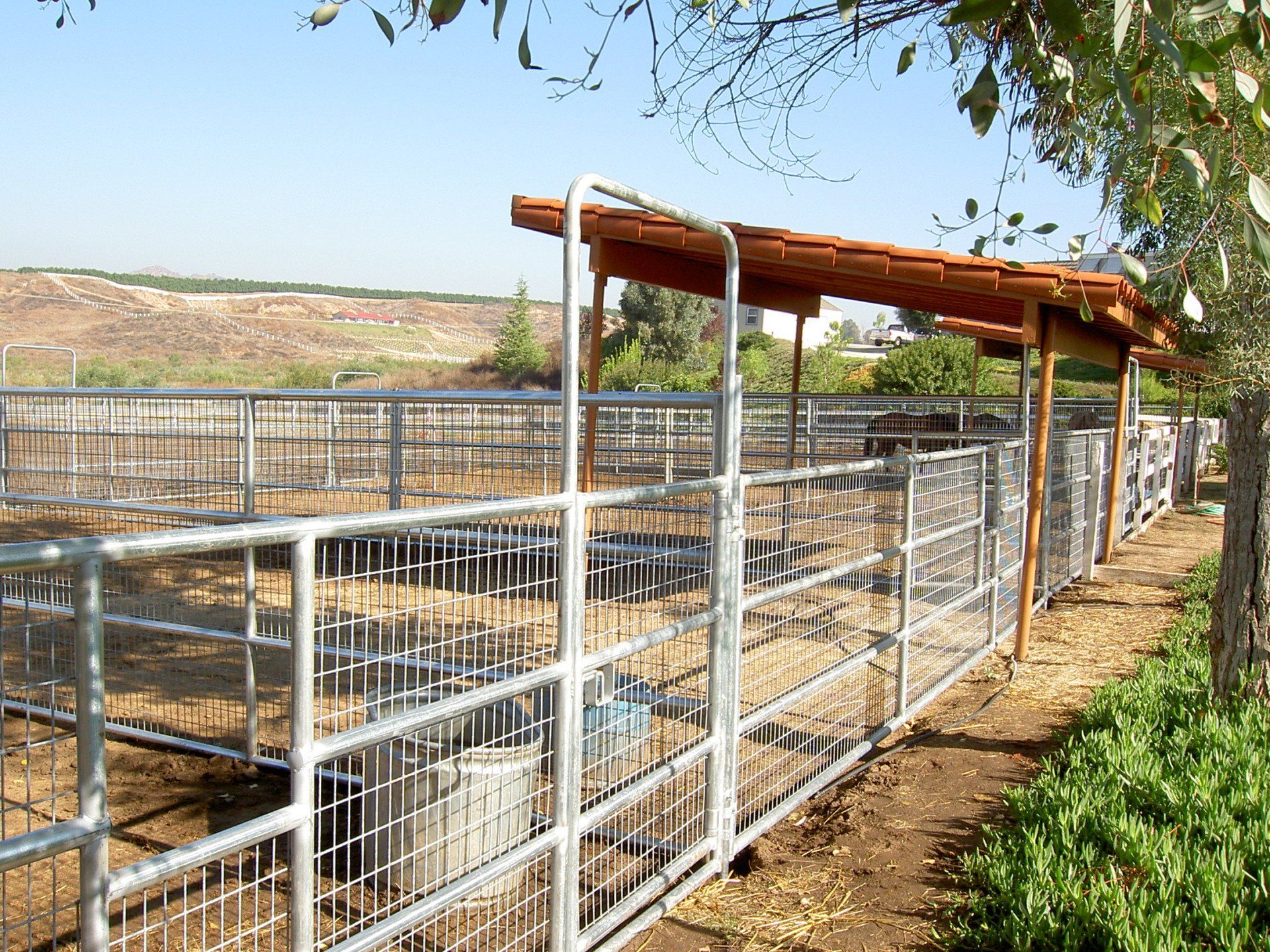 Ranch & agricultural fencing