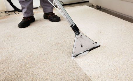 Close-up of a person cleaning carpet with vacuum cleaner