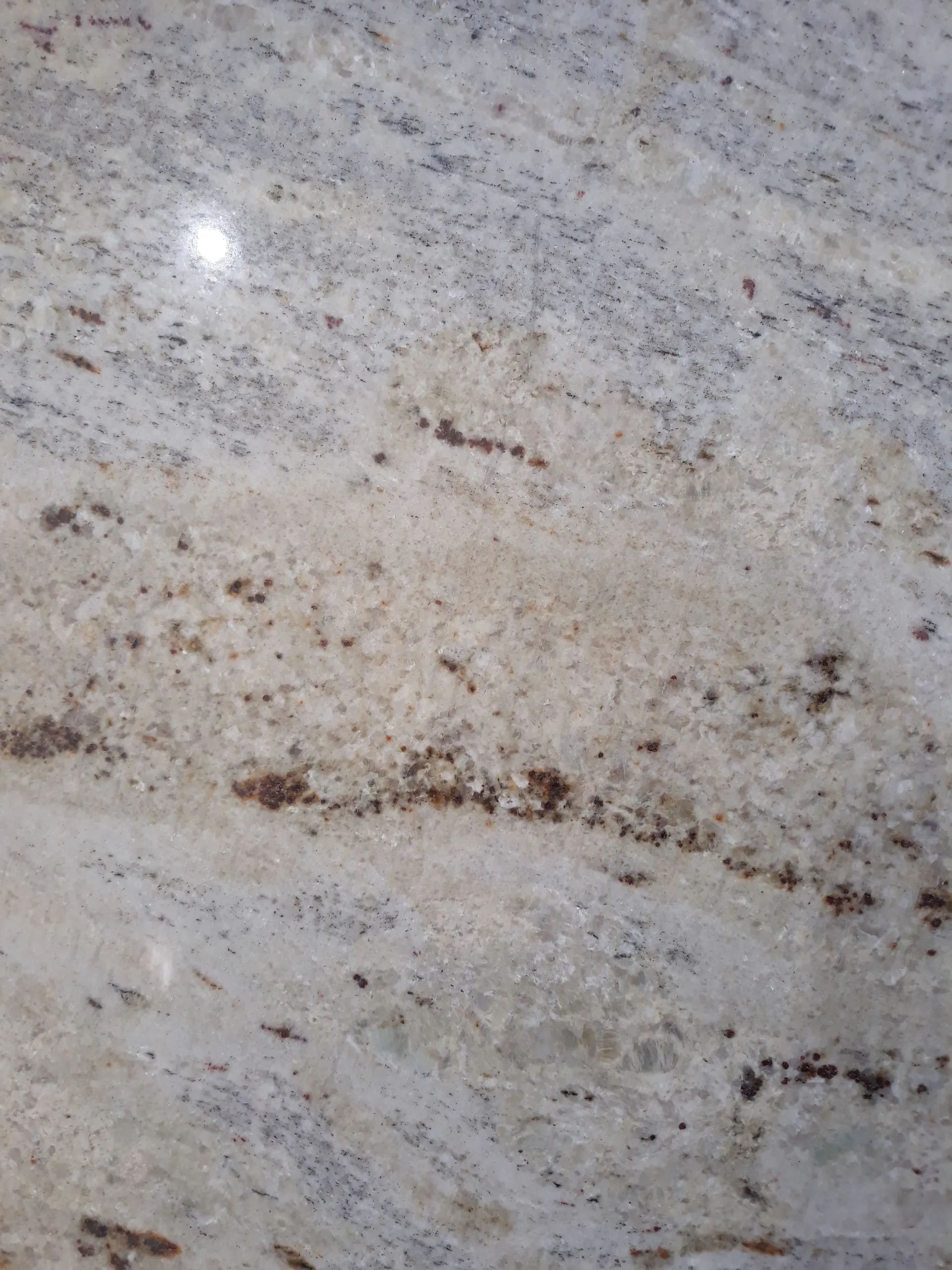 Close-up of a light gray speckled stone surface with a brown vein running across it