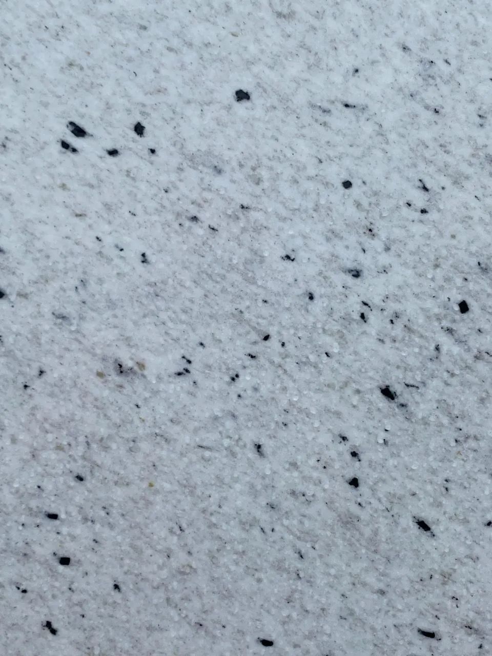 Close-up of a white speckled surface with scattered small black dots