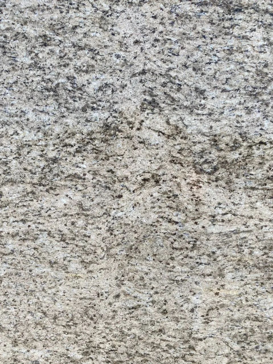 Close-up of a speckled gray stone surface with light and dark flecks