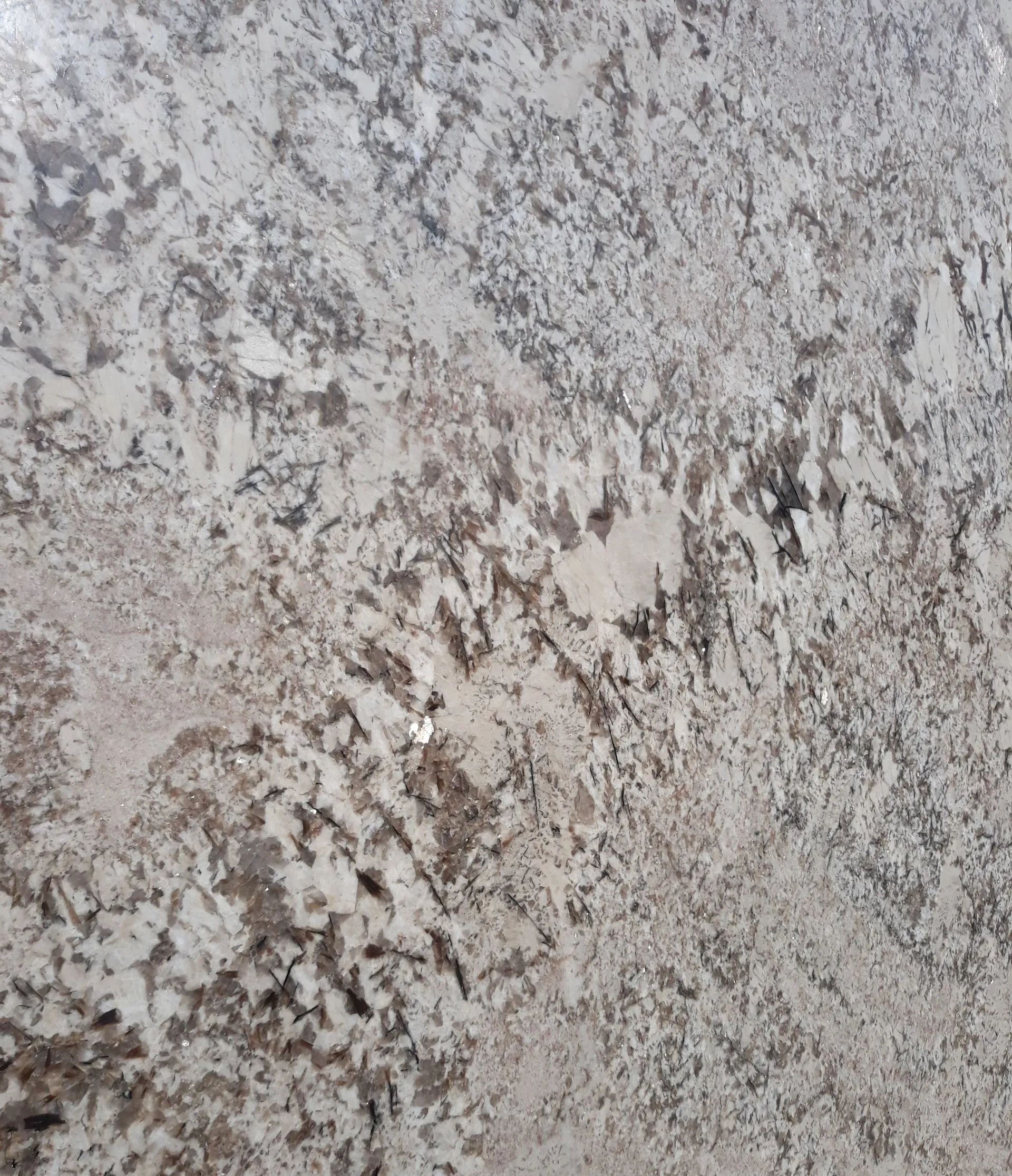 Close-up of a rough gray and brown speckled stone surface with mottled texture