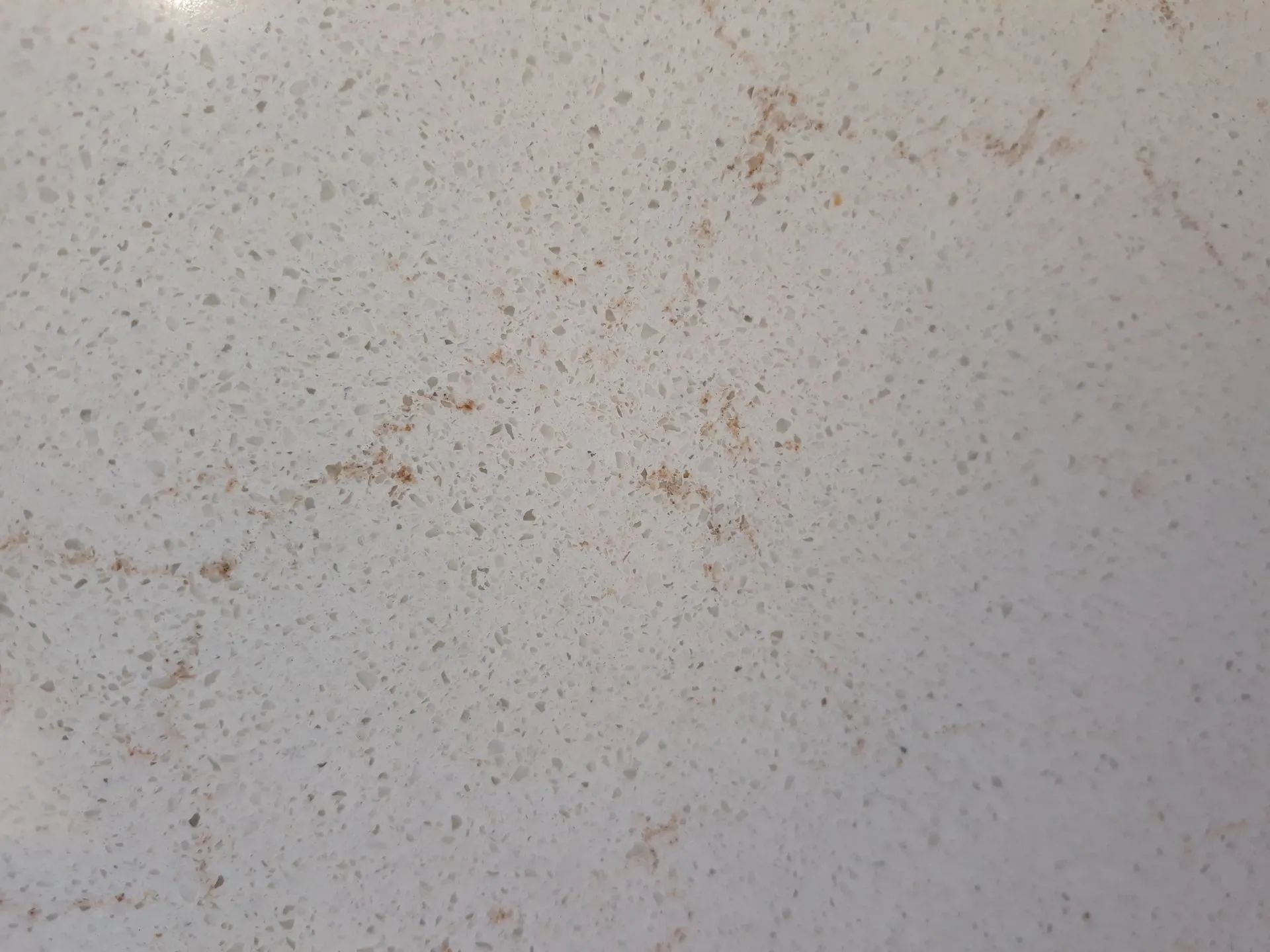 Close-up of a light gray speckled stone surface with small brown stains and marks