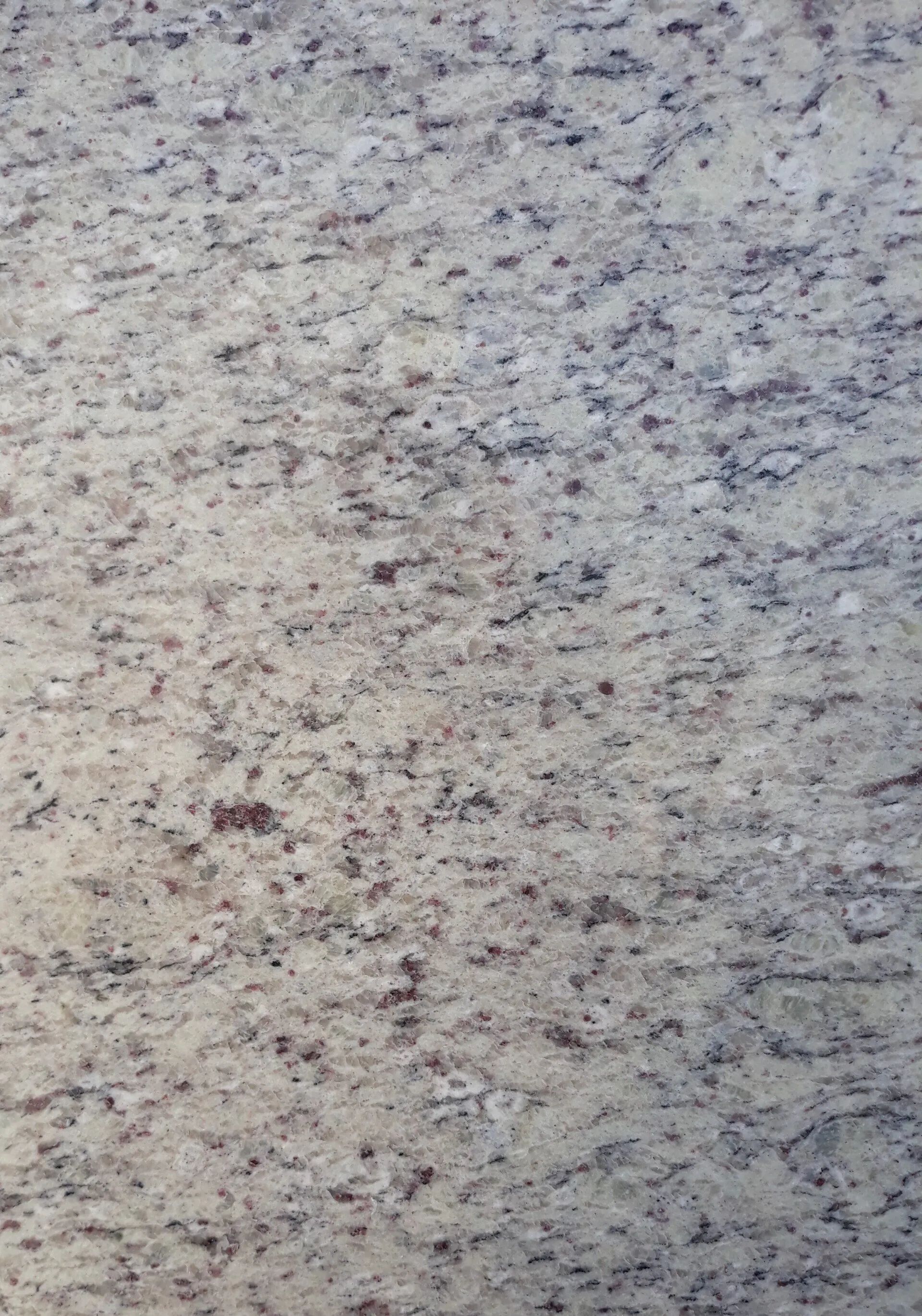 Close-up of a light gray speckled stone or textured surface with dark flecks