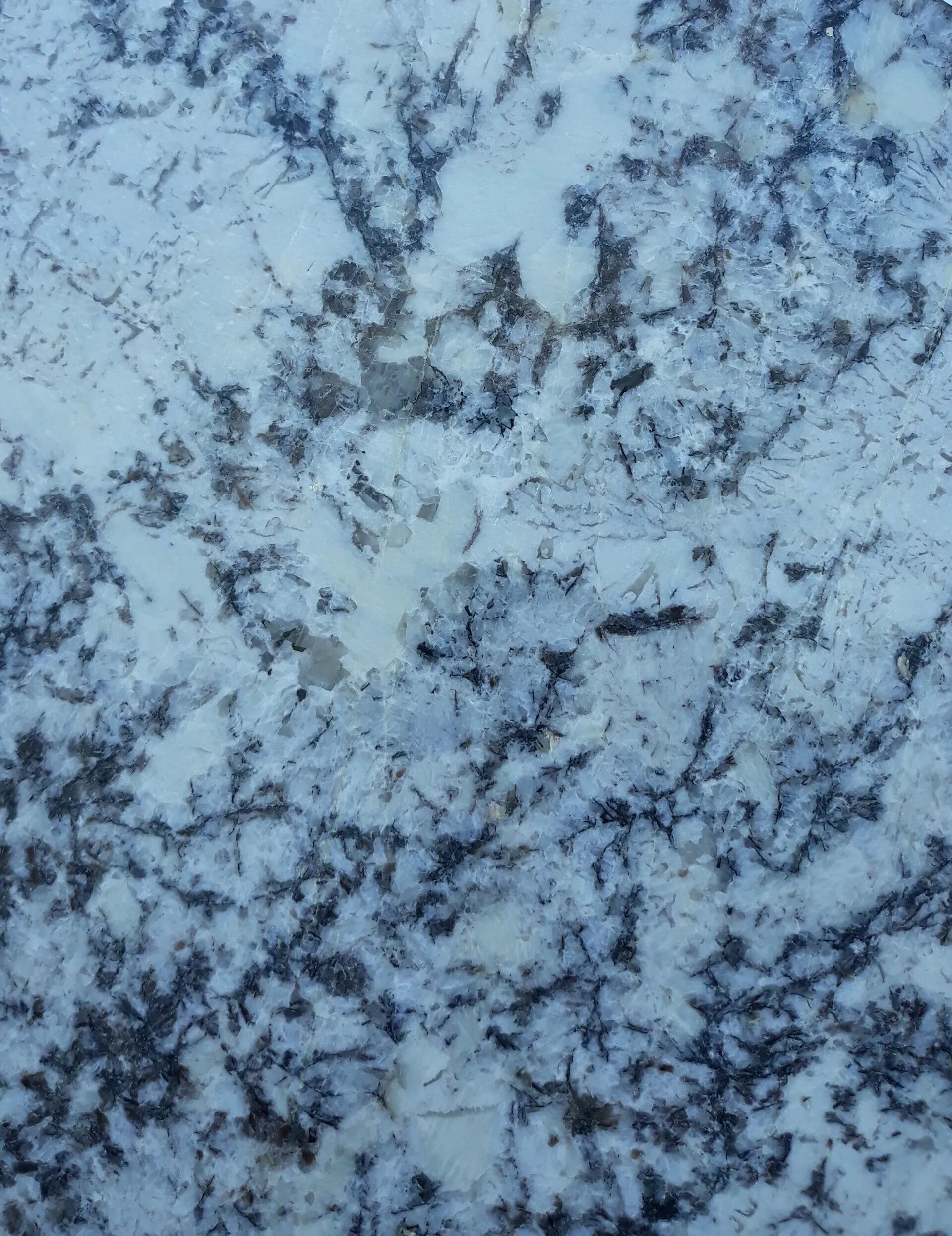 Blue-gray speckled stone surface with dark veining and mottled texture