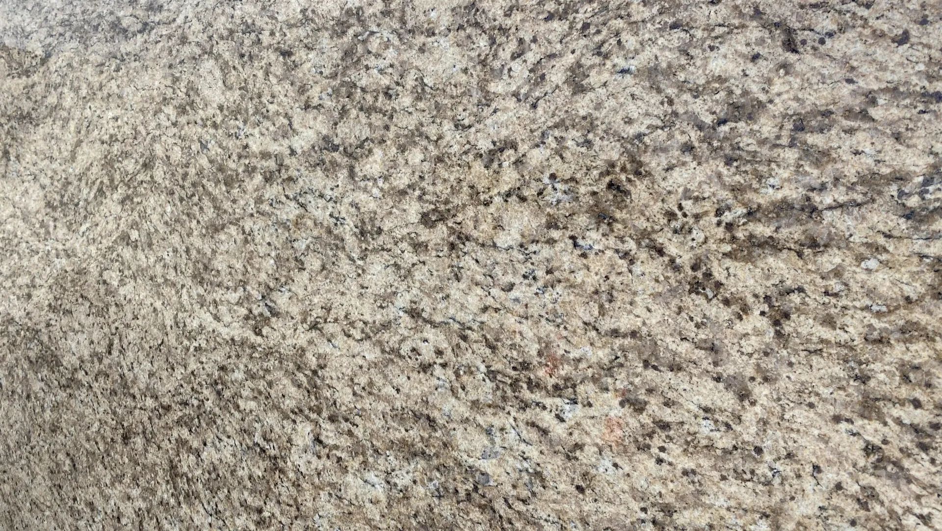 Close-up of a speckled beige, gray, and brown stone or granite surface.