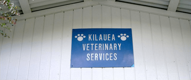 Large Animals | Keaau, HI | Kilauea Veterinary Services | 808-966-8582