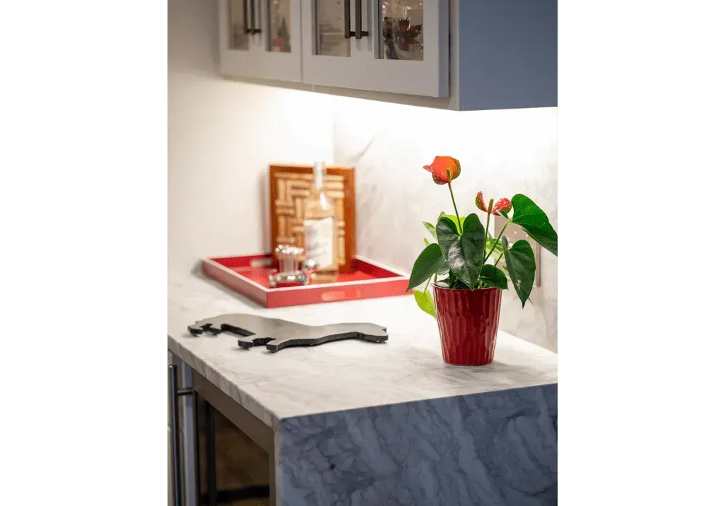Kitchen countertop with red tray, bottle, red flower plant, and grey object under white cabinets.