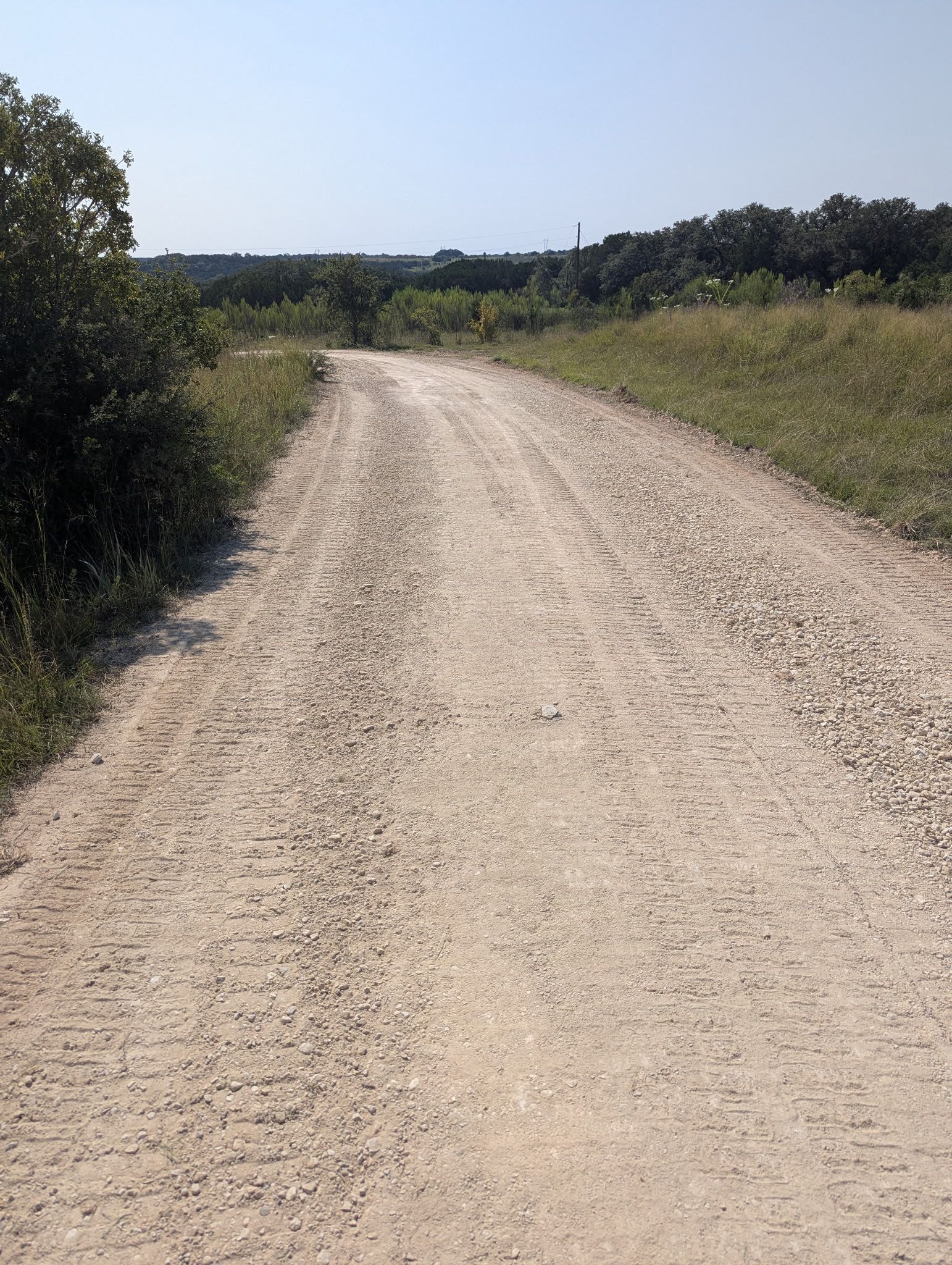 Gravel path through a grassy field under a bright blue sky. Bushes line the edges of the path.