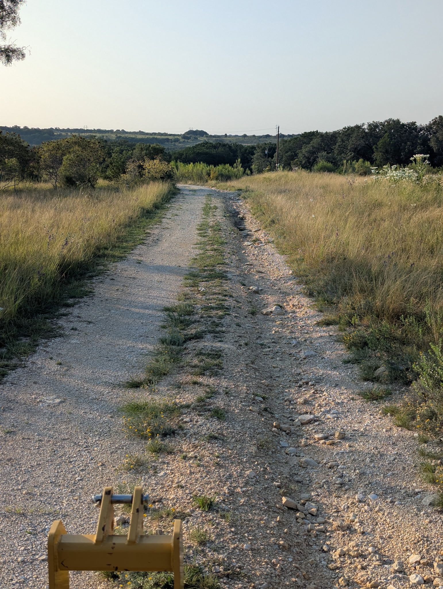 Gravel road through tall grass and trees, leading towards a distant horizon under a clear sky.
