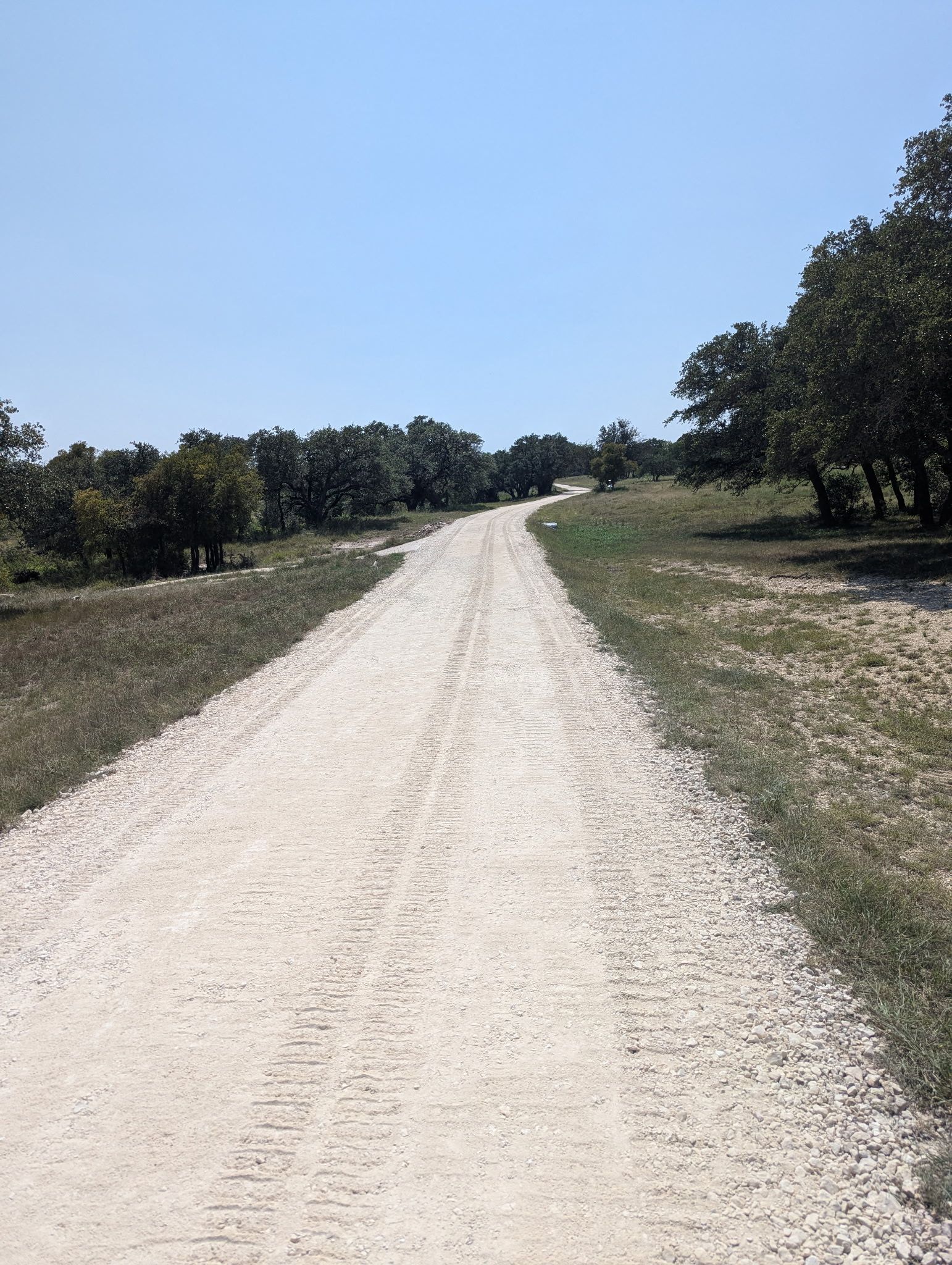 Gravel road through a grassy field with trees on either side under a clear blue sky.