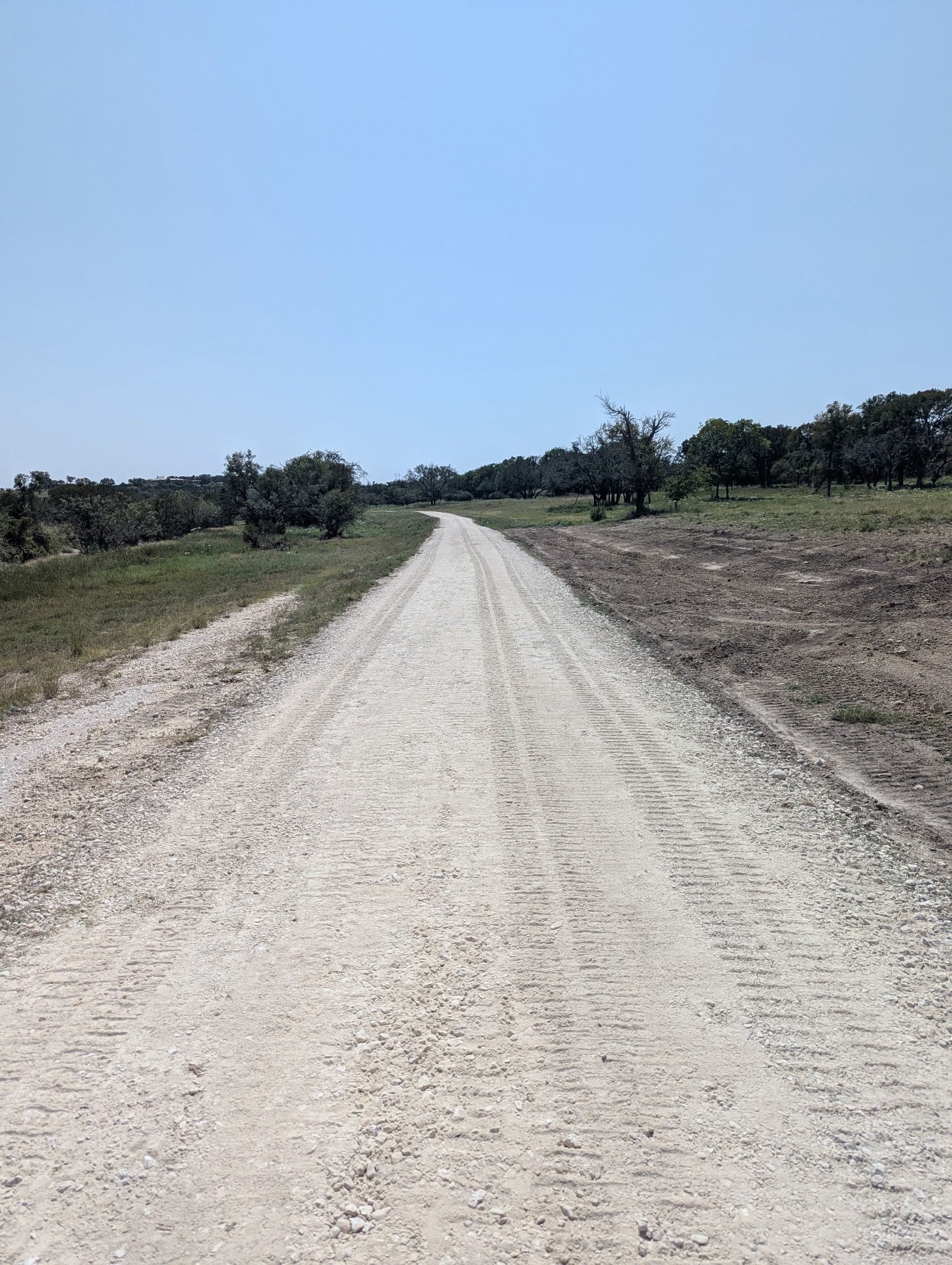 Gravel road through a field, trees line the edges. Clear blue sky overhead.