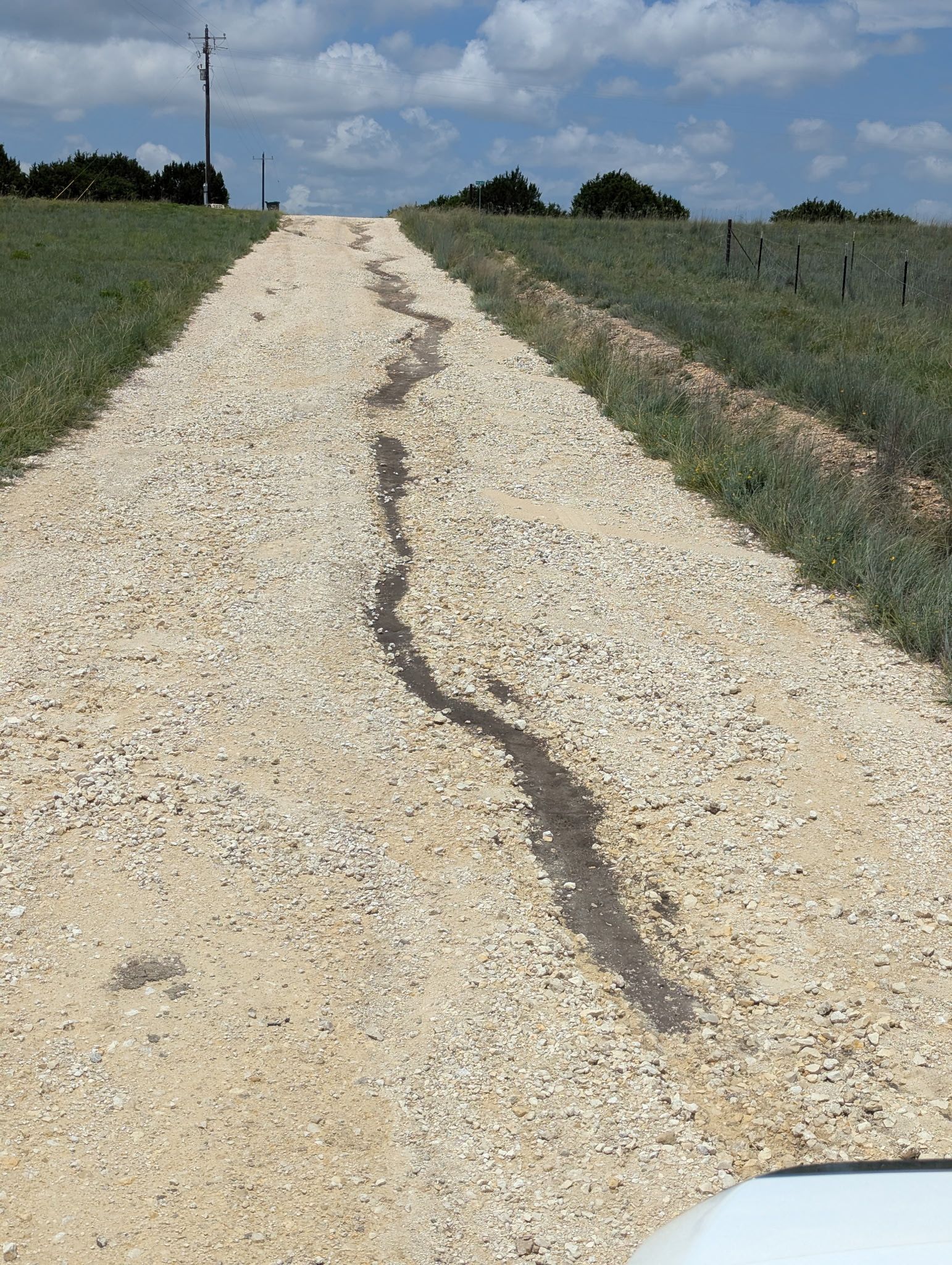 A gravel road going through a grassy field