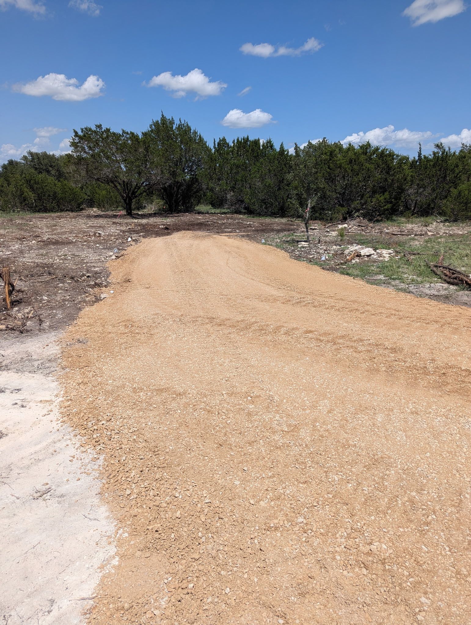 A dirt road going through a field with trees in the background