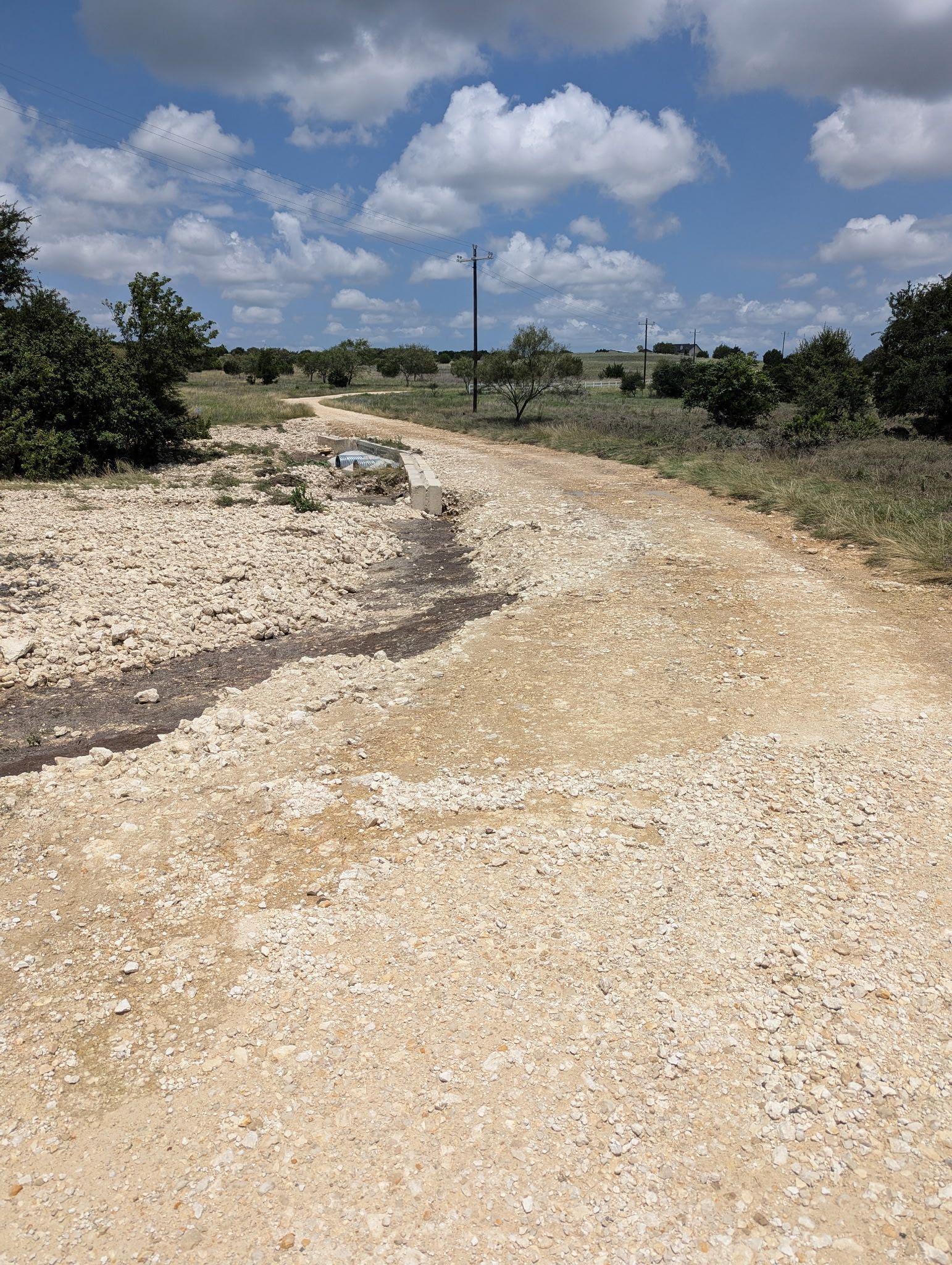 A dirt road in the middle of a field on a sunny day