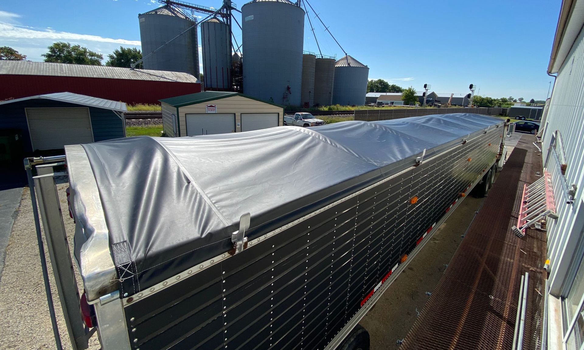 Tarp