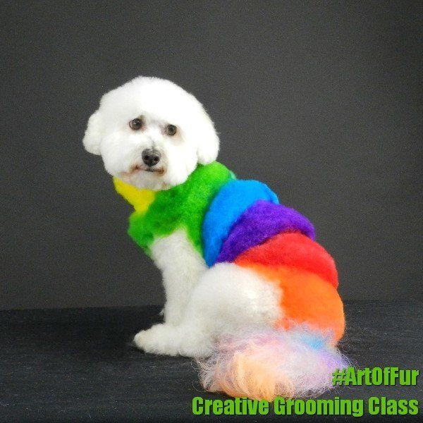creative grooming