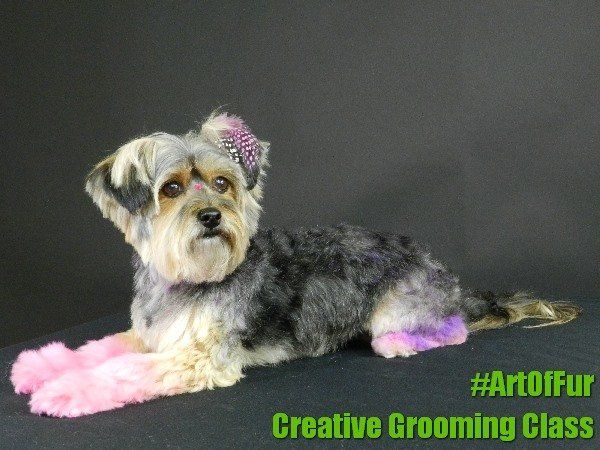 creative grooming