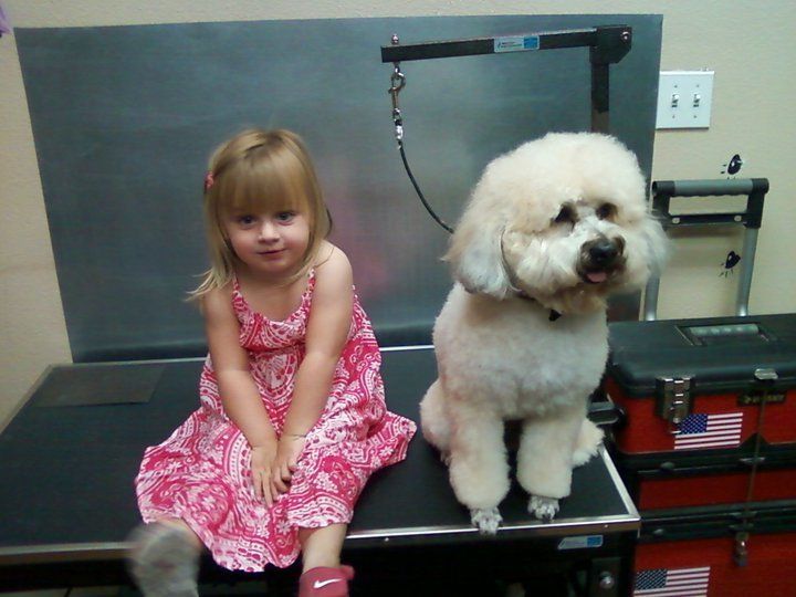 dog