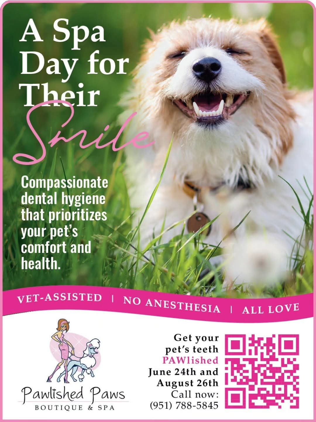 A spa day for their smile compassionate dental hygiene that prioritizes your pet 's comfort and health