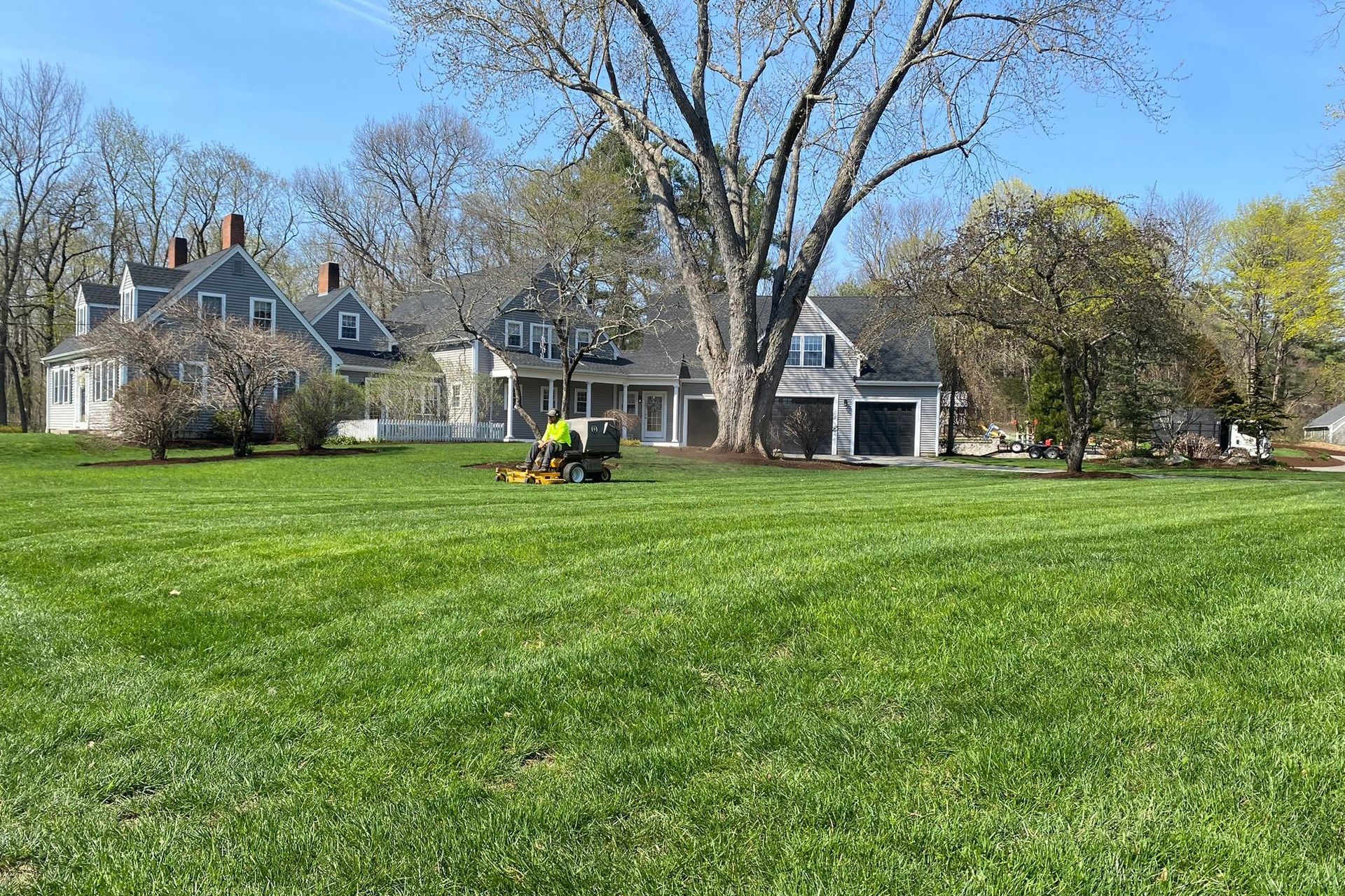Lawn Mowing and Maintenance