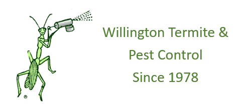 Willington Termite & Pest Control - Logo