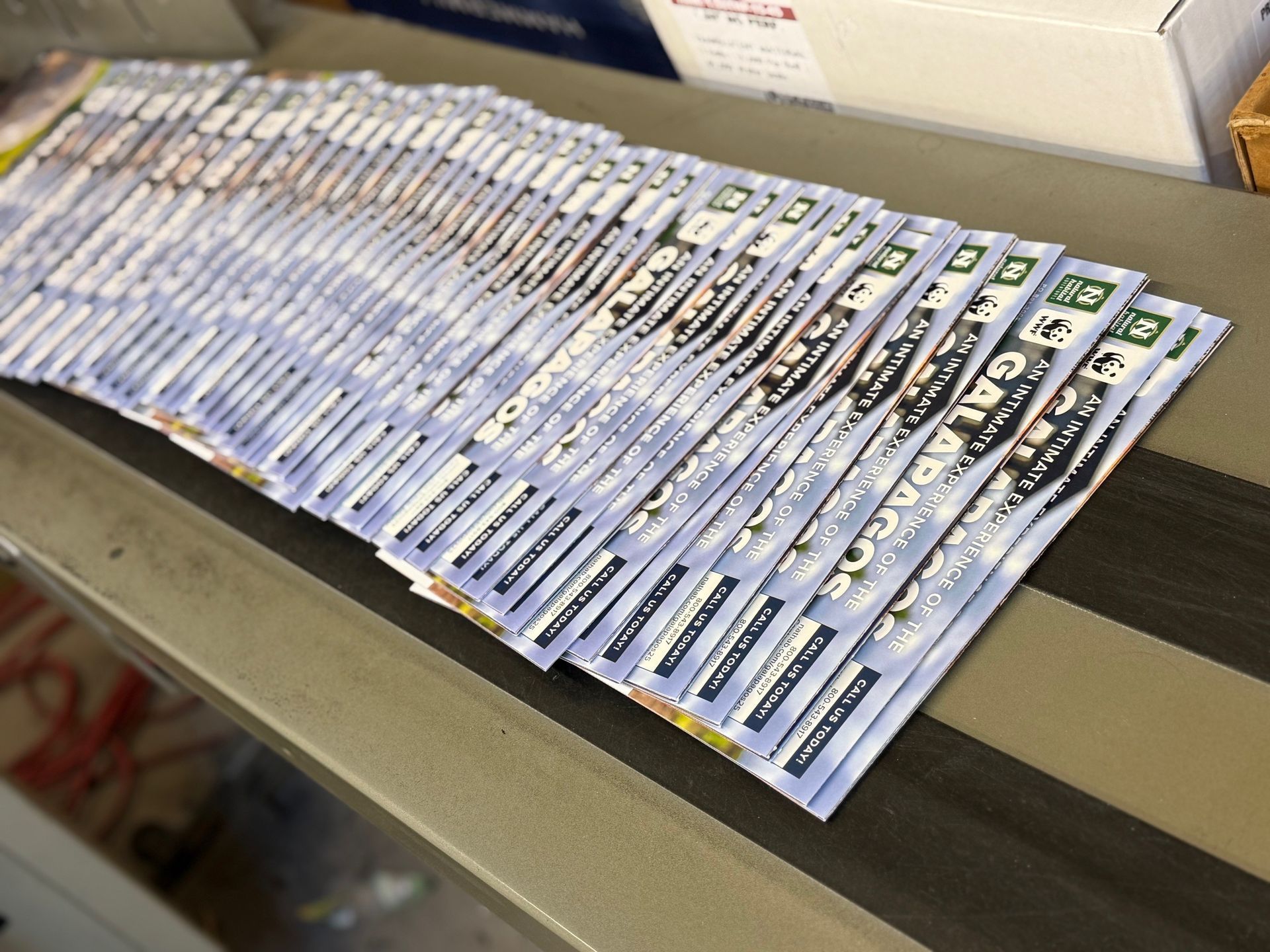 Pile of Galápagos travel information packets on a counter.