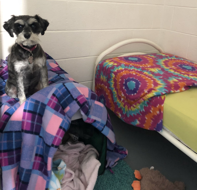 Luxury Suites Secure Pet Suites Oshkosh, WI