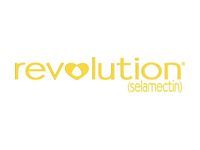 Revolution