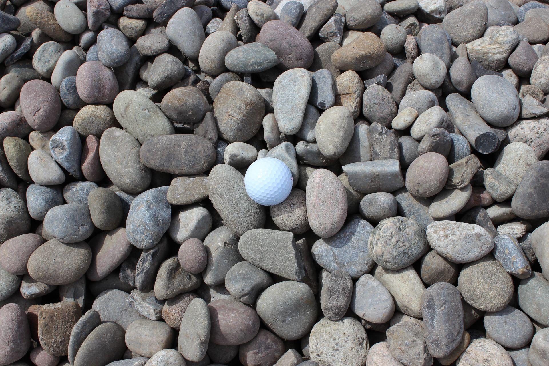 Smooth, gray and tan river rocks with a white golf ball in the center.