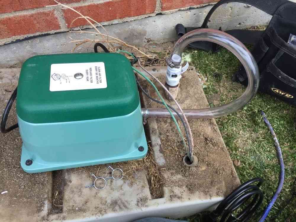 A green and teal aerator pump sits on a concrete slab near a brick wall, connected to a clear tube and a valve.