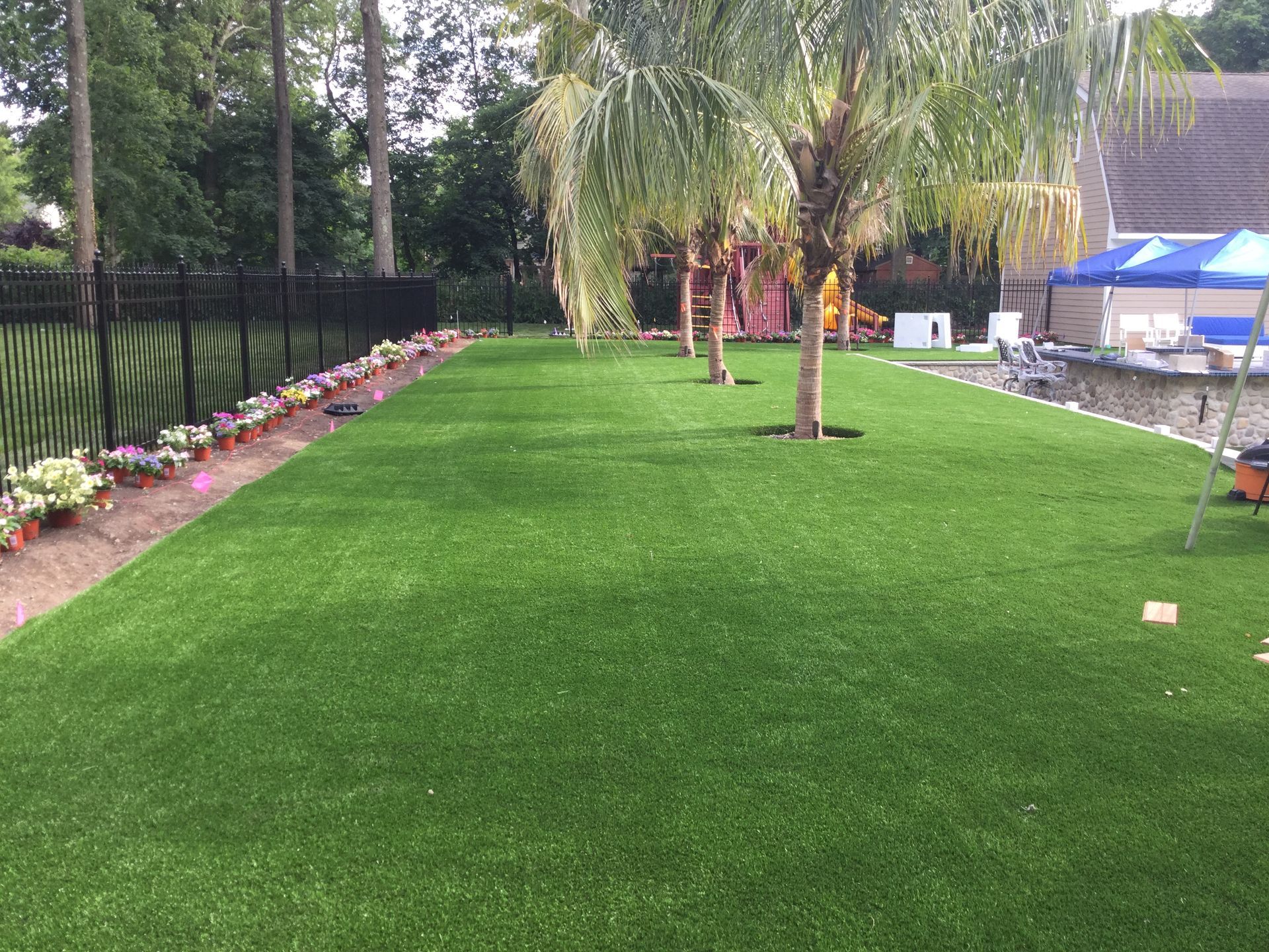 A lush green lawn with a fence and trees in the background.