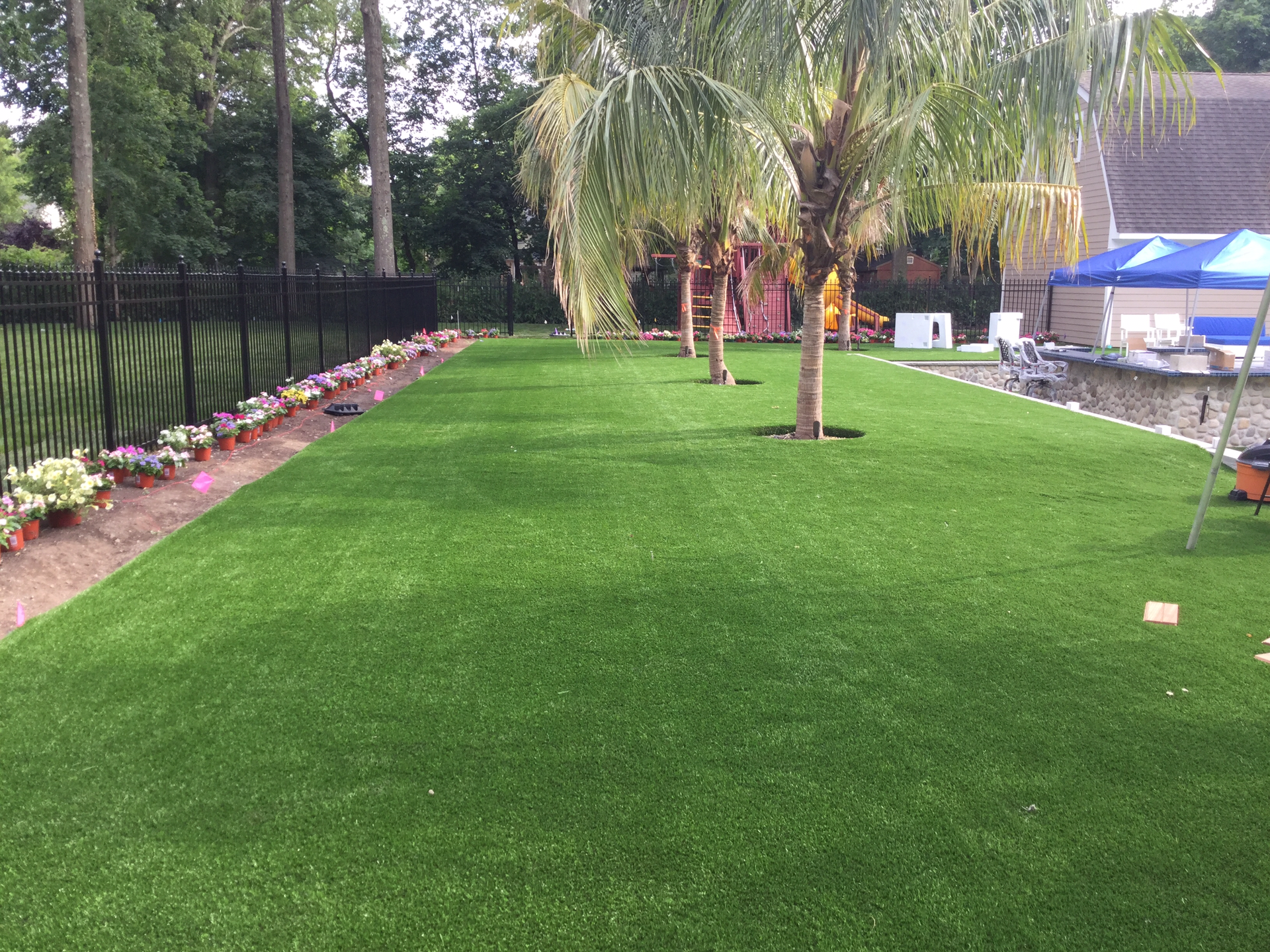 A lush green lawn with a fence and trees in the background.