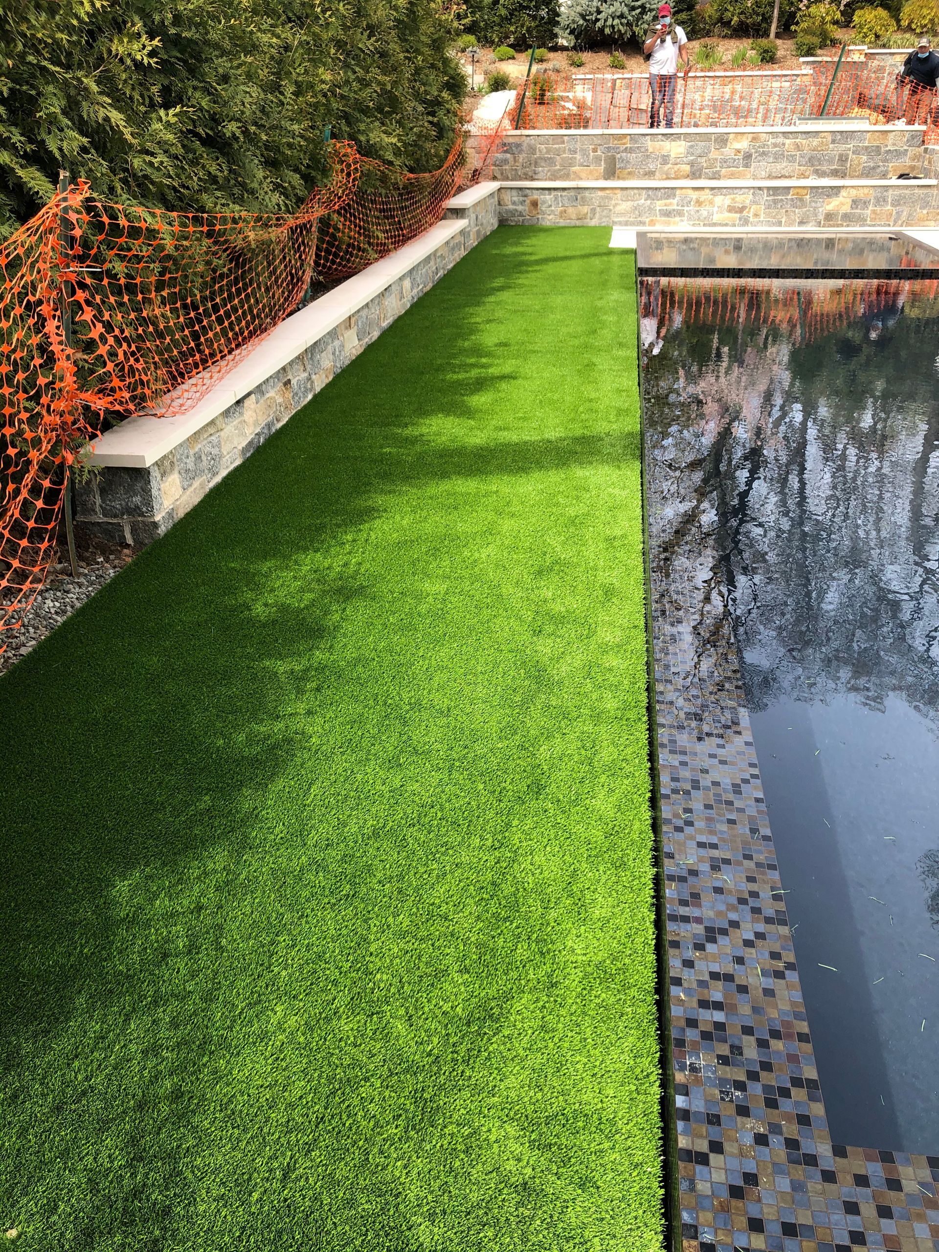A swimming pool with a lush green lawn next to it.