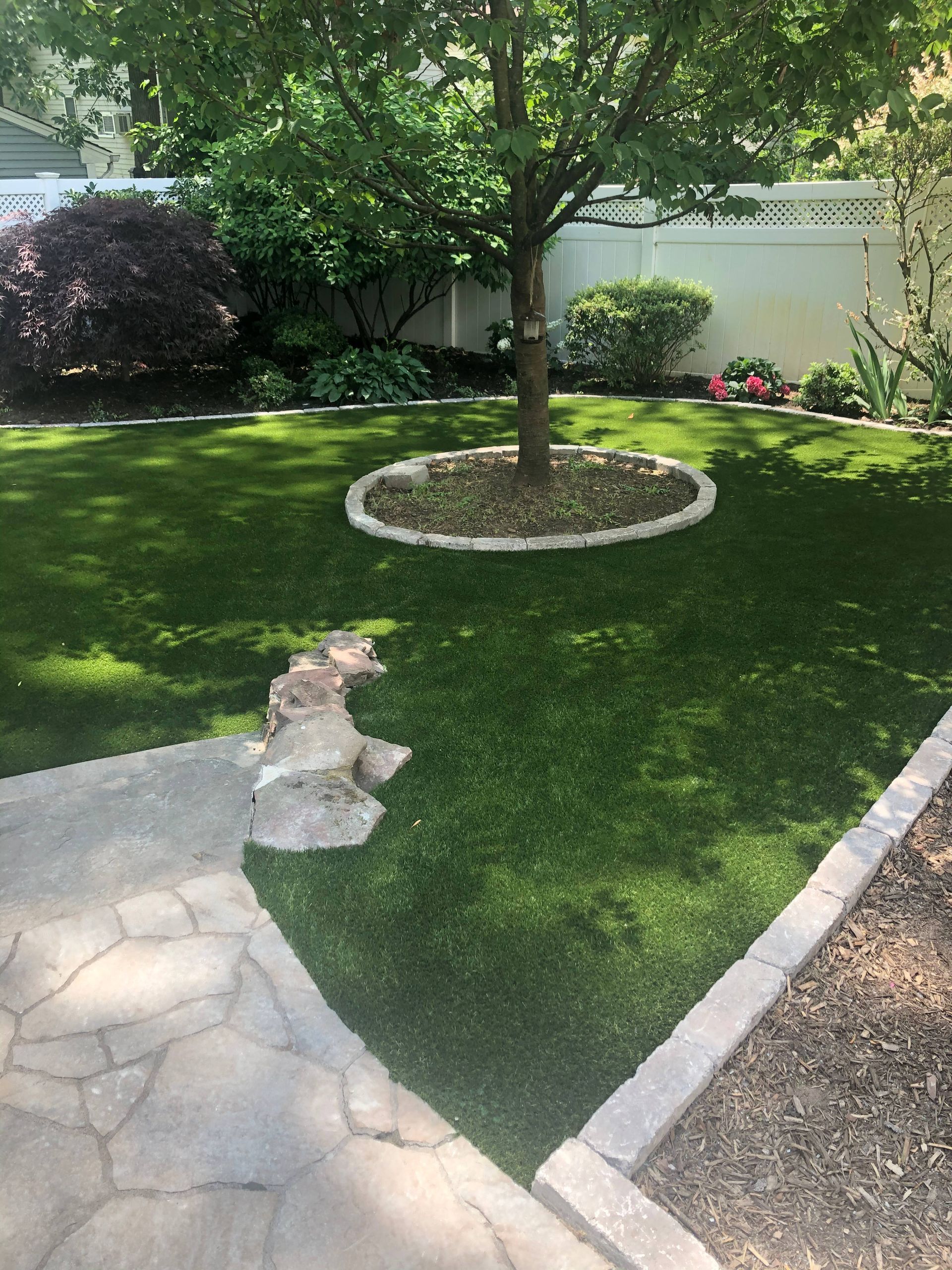 There is a tree in the middle of the lawn.