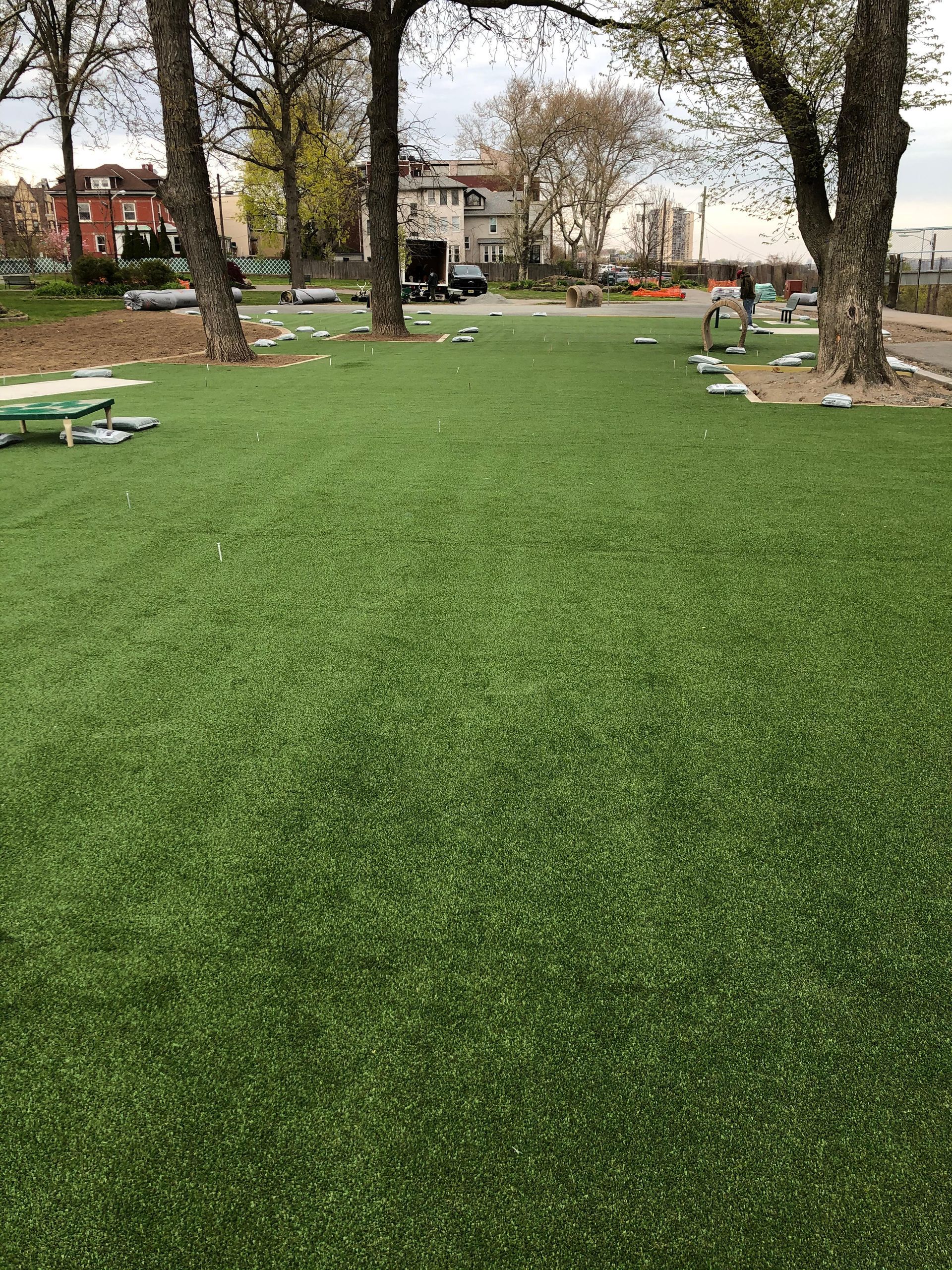 A field of green grass with trees in the background.