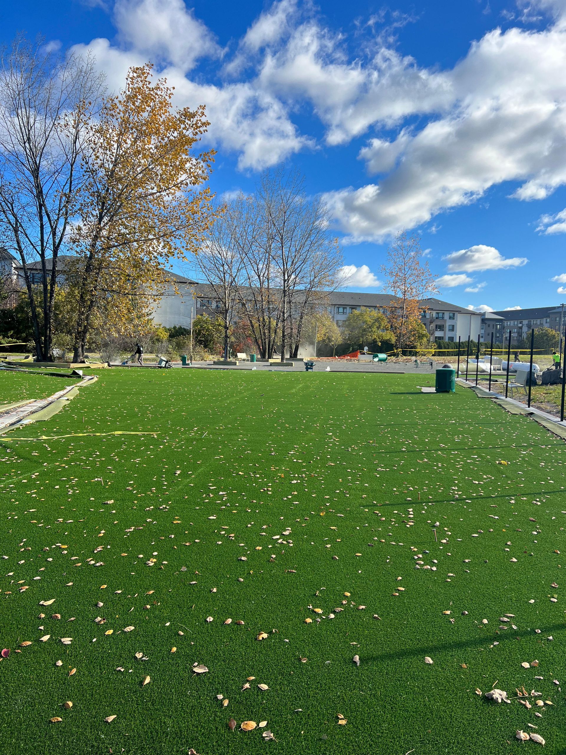 A large grassy field with trees in the background on a sunny day.