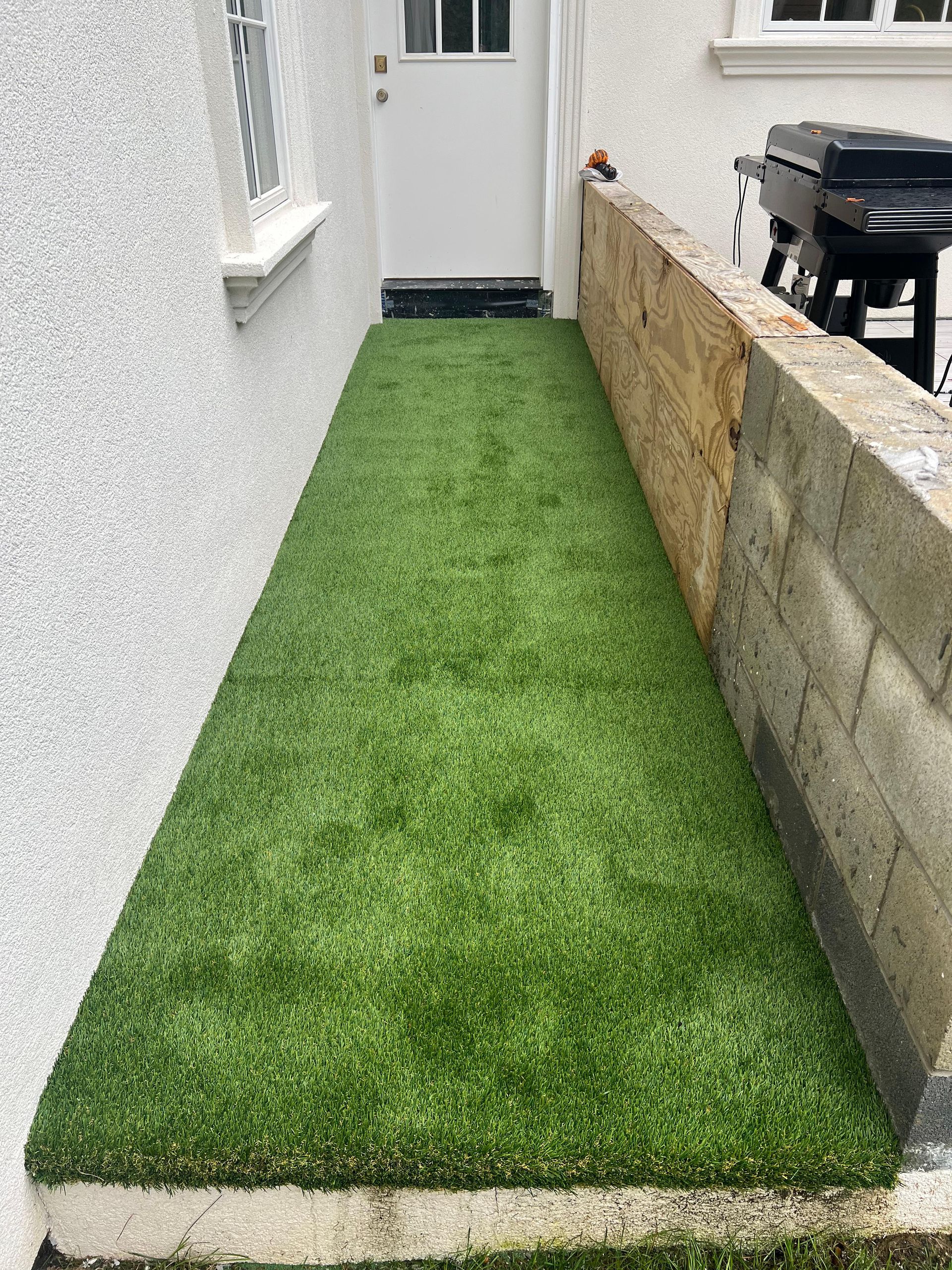 A narrow walkway covered in green grass next to a white door.