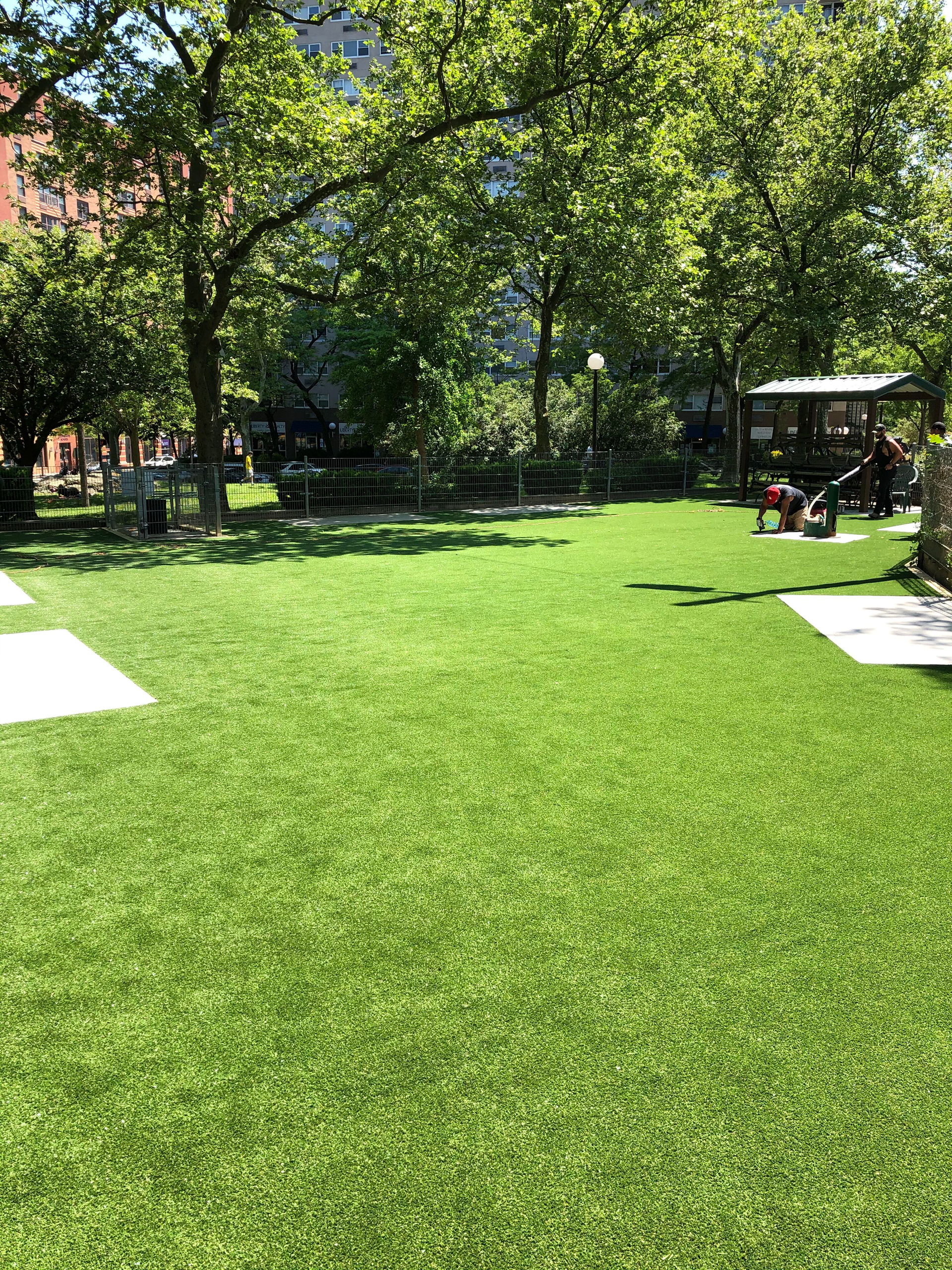 A large lush green field of grass in a park with trees in the background.