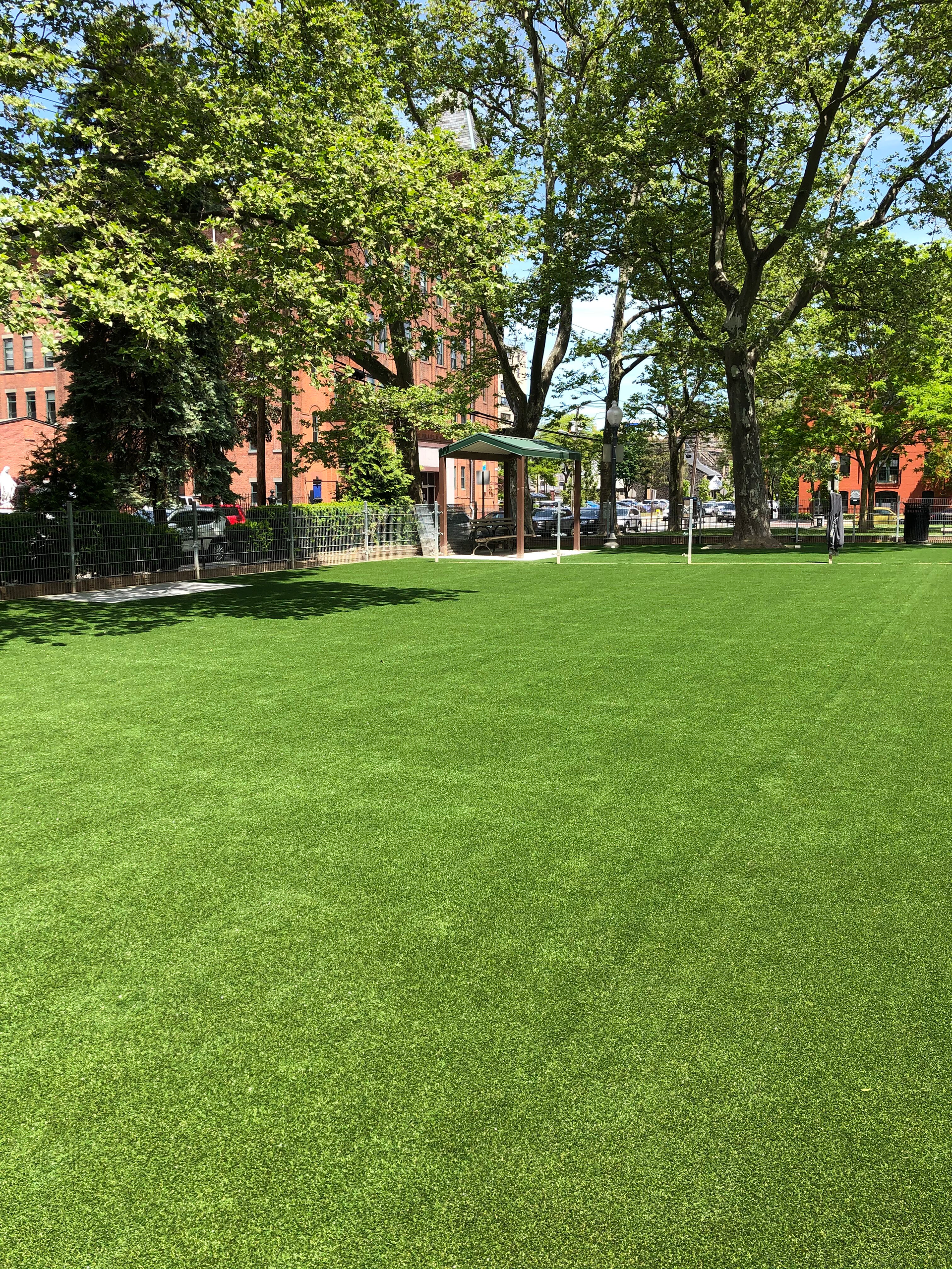 A large lush green field of grass in a park with trees in the background.
