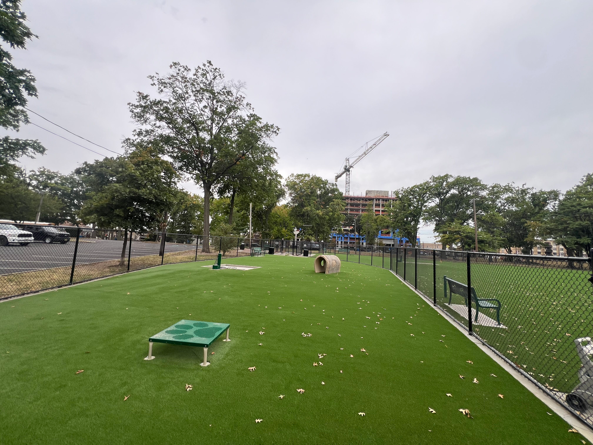 A dog is playing in a dog park with trees in the background.
