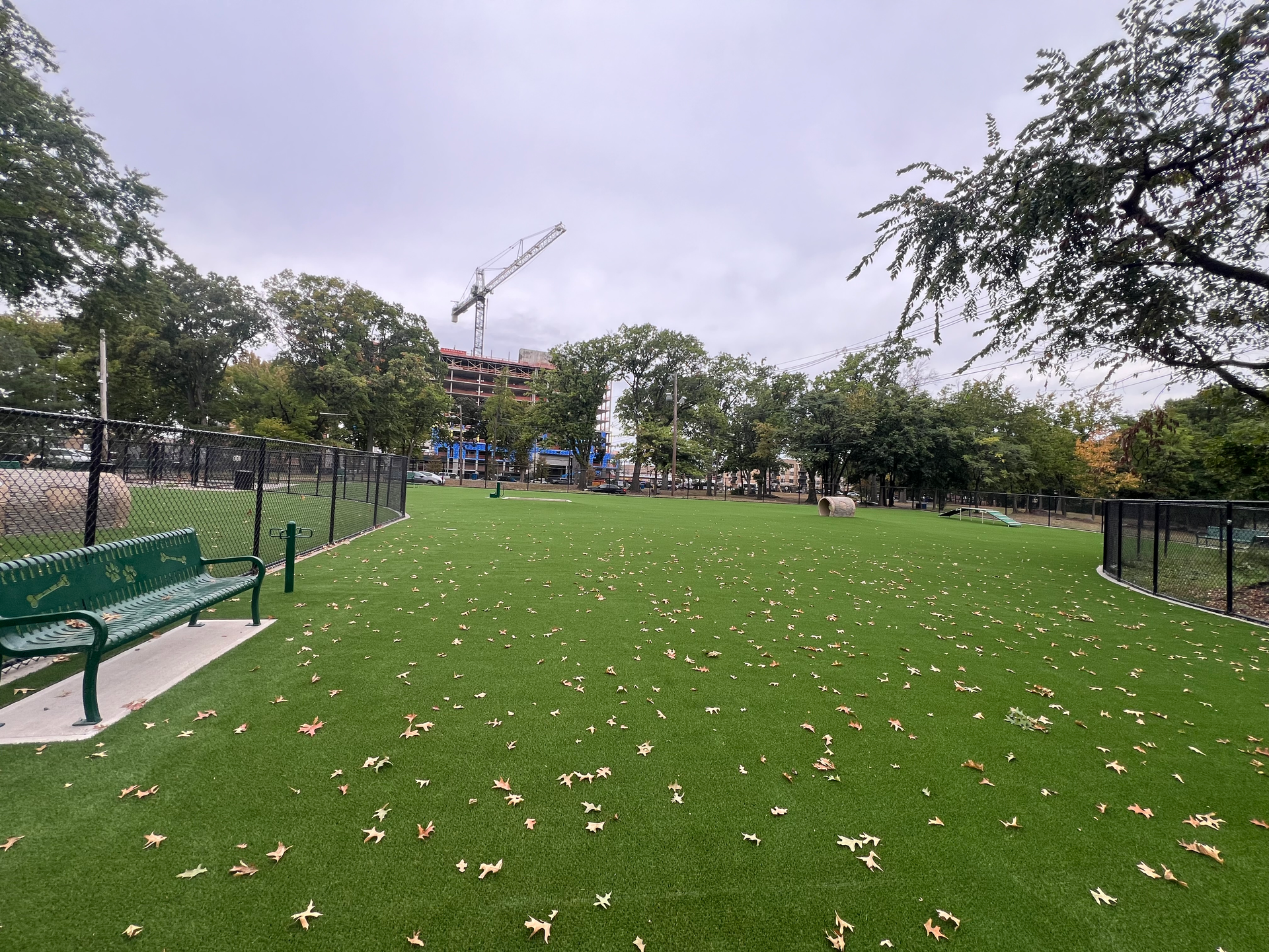 There is a bench in the middle of the grass in the park.