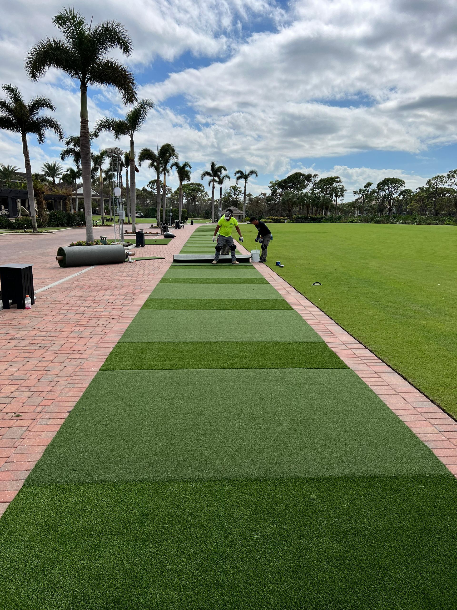 A brick walkway leading to a grassy field with palm trees in the background.