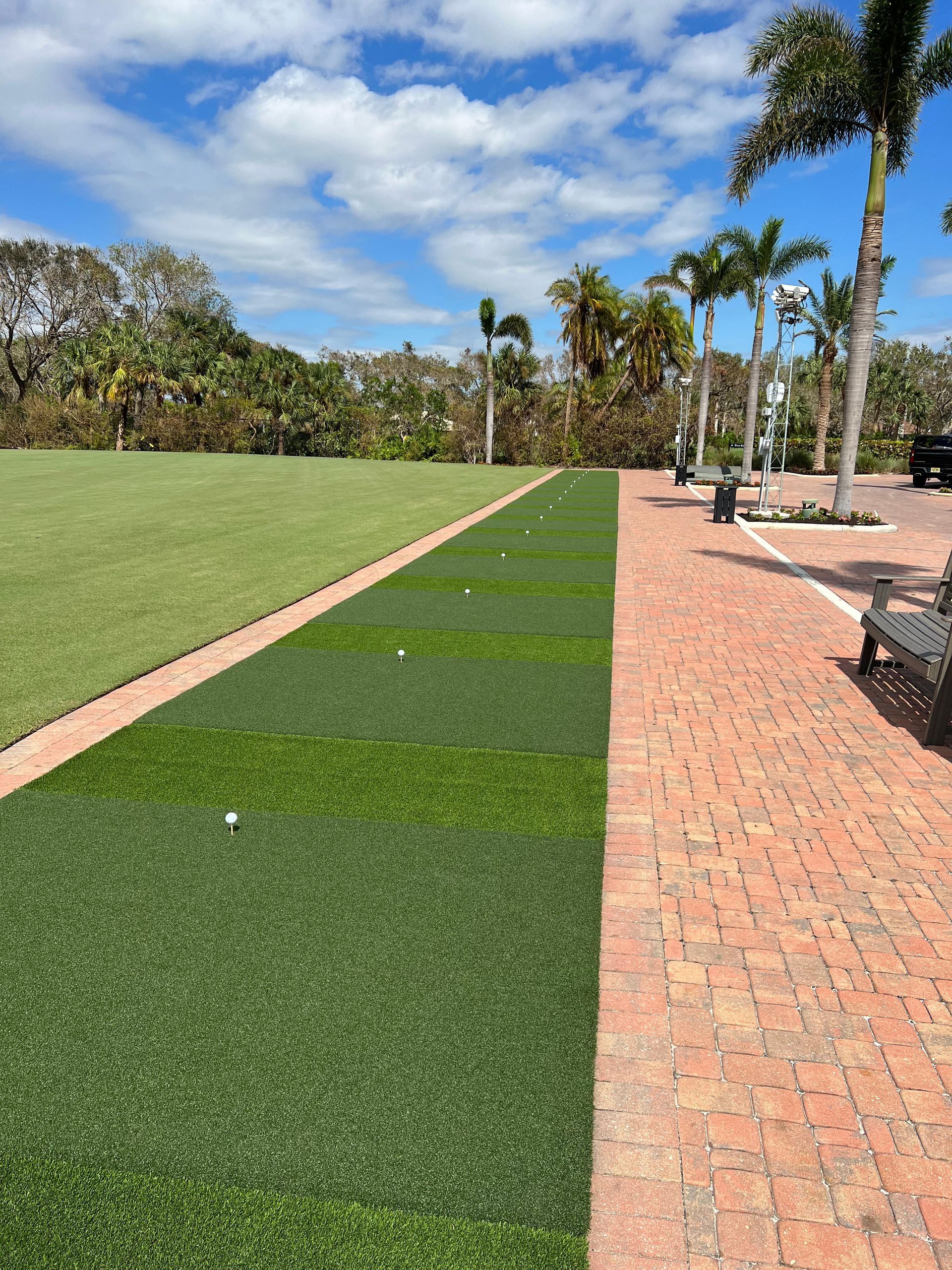 A brick walkway leading to a grassy field with palm trees in the background.